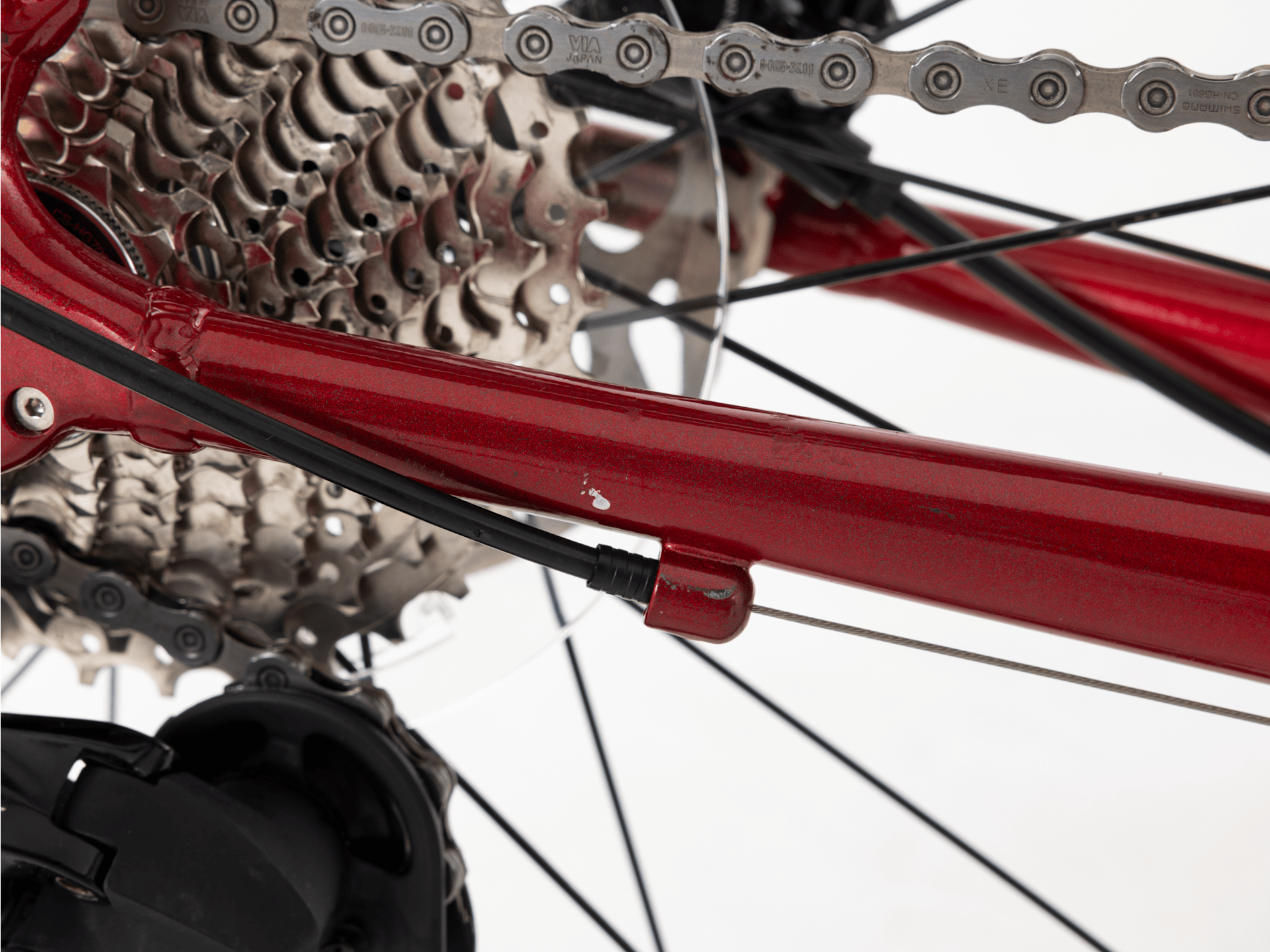 Domane AL 5 Gen 3 - 2023, 58cm