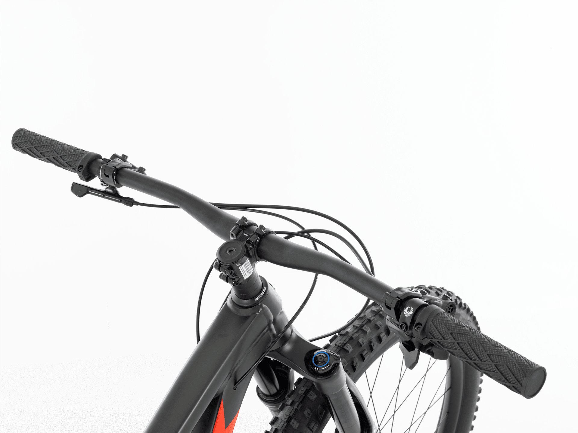 Roscoe 8 - 2024, X-Small