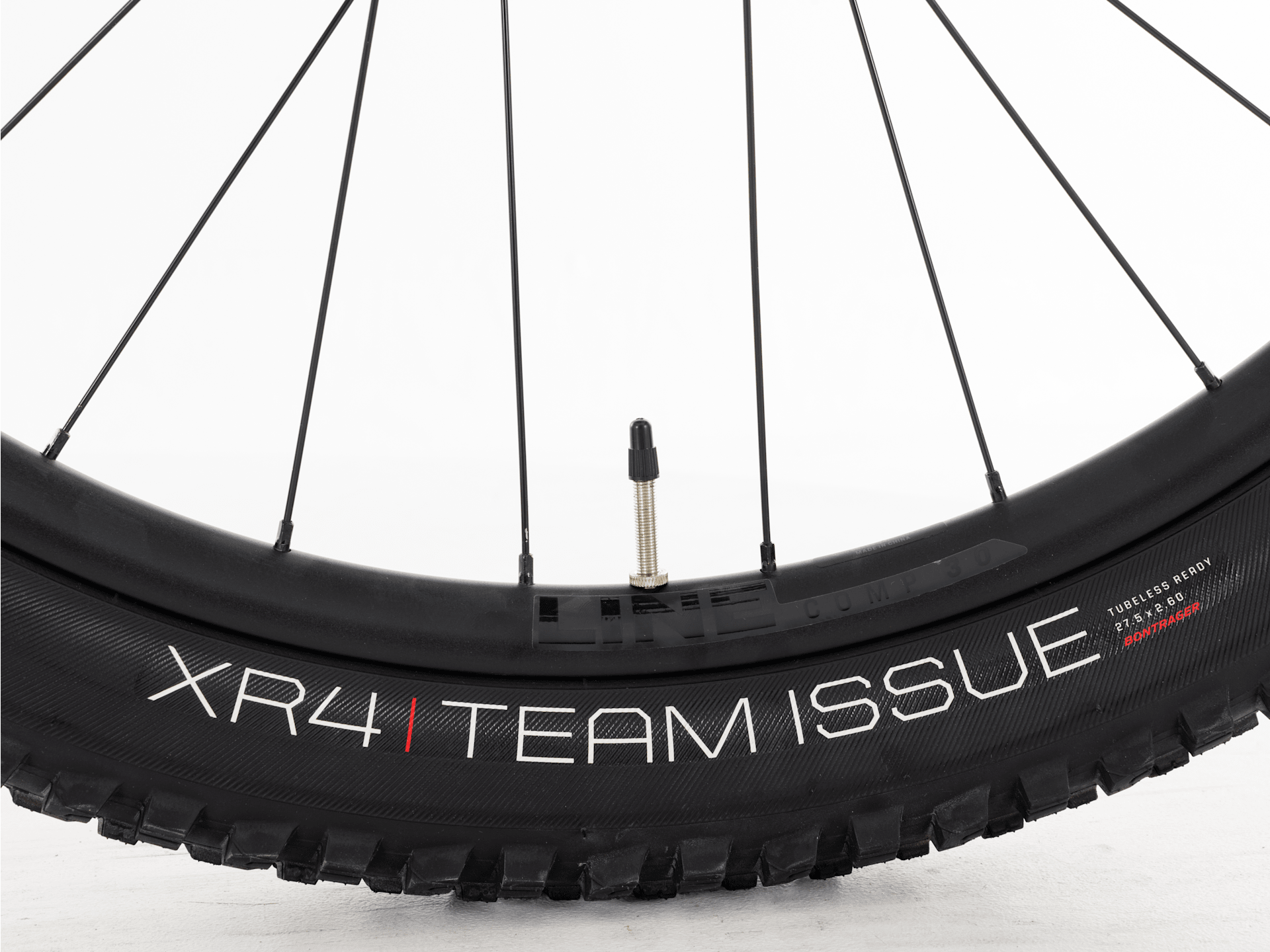 Roscoe 8 - 2024, X-Small