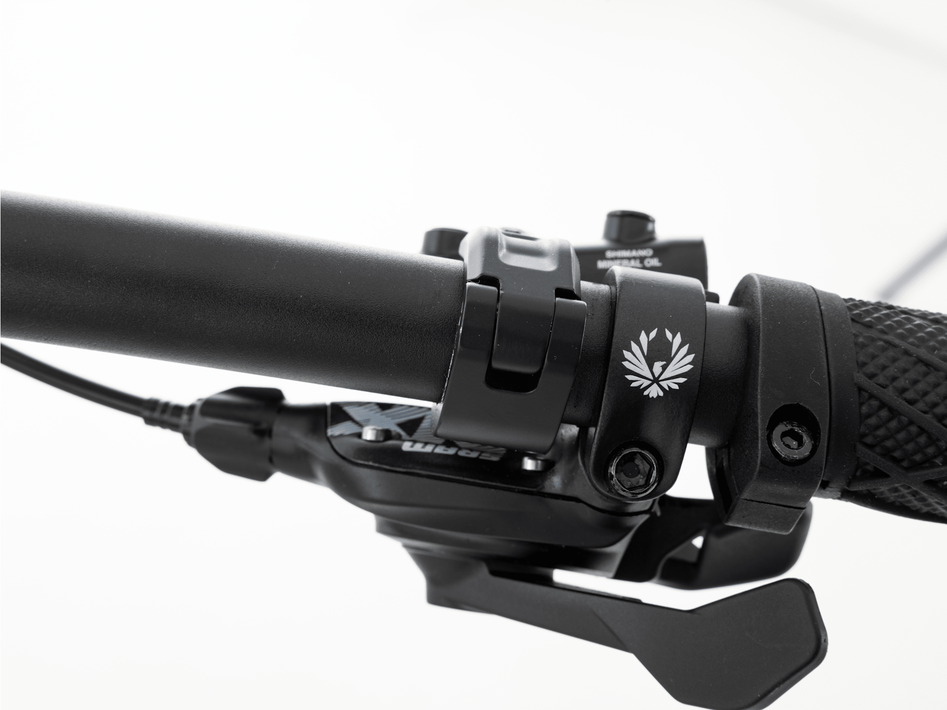 Roscoe 8 - 2024, X-Small