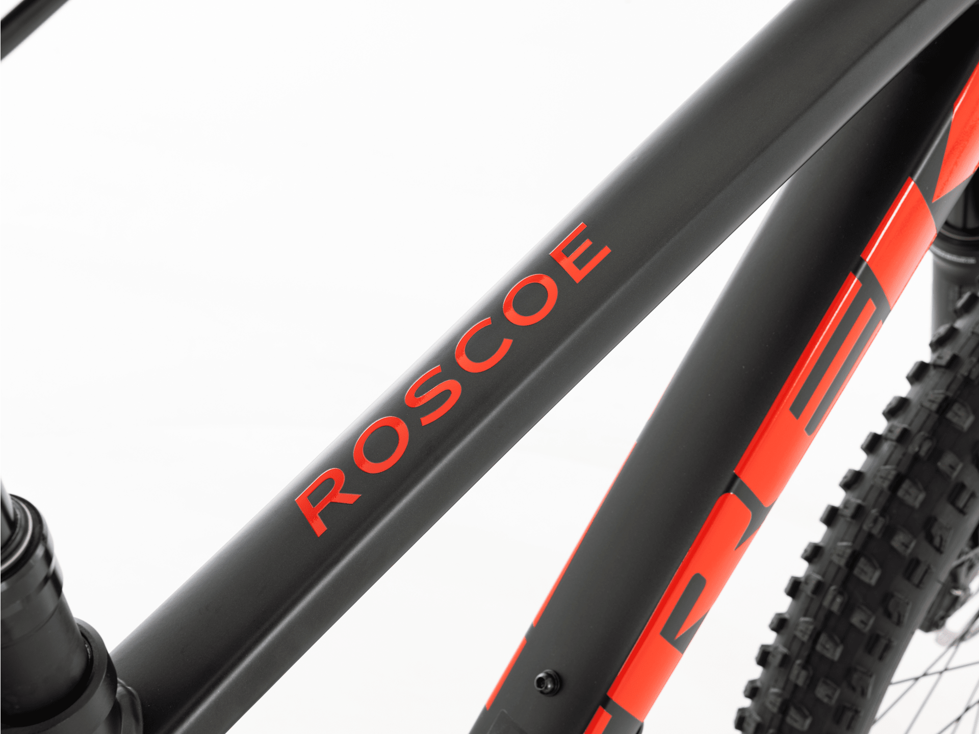 Roscoe 8 - 2024, X-Small