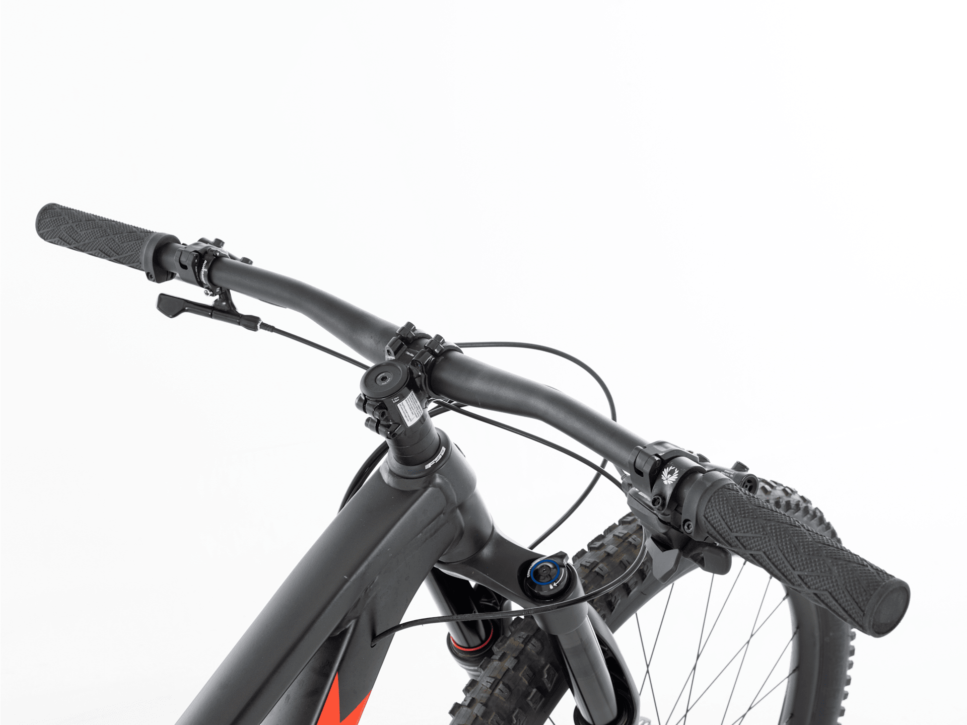 Roscoe 8 - 2024, Small