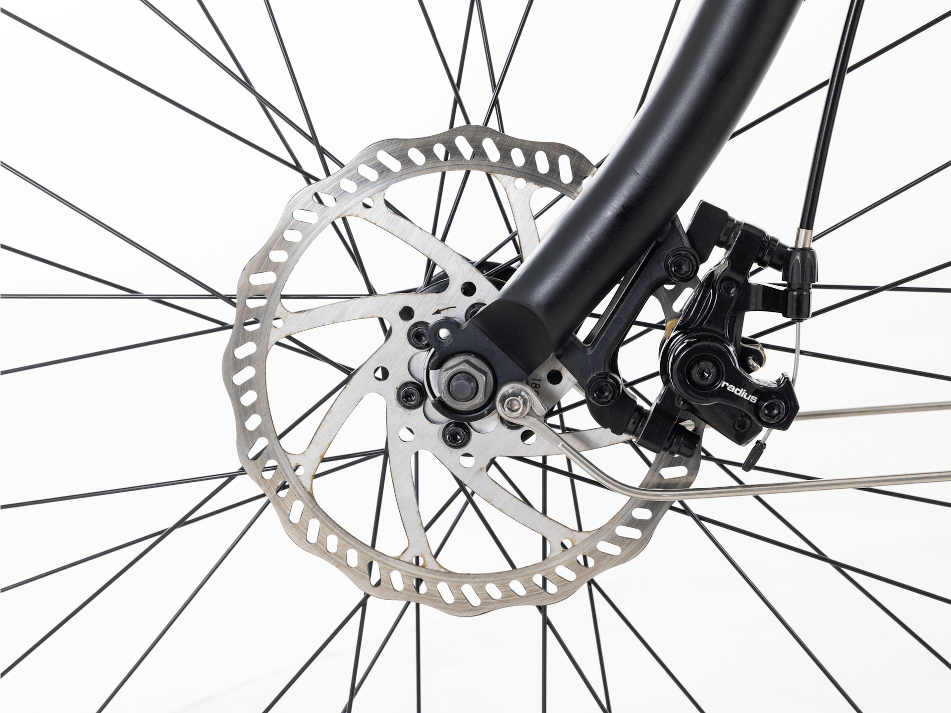 Cruiser Go! Step-Over - 2024, Medium