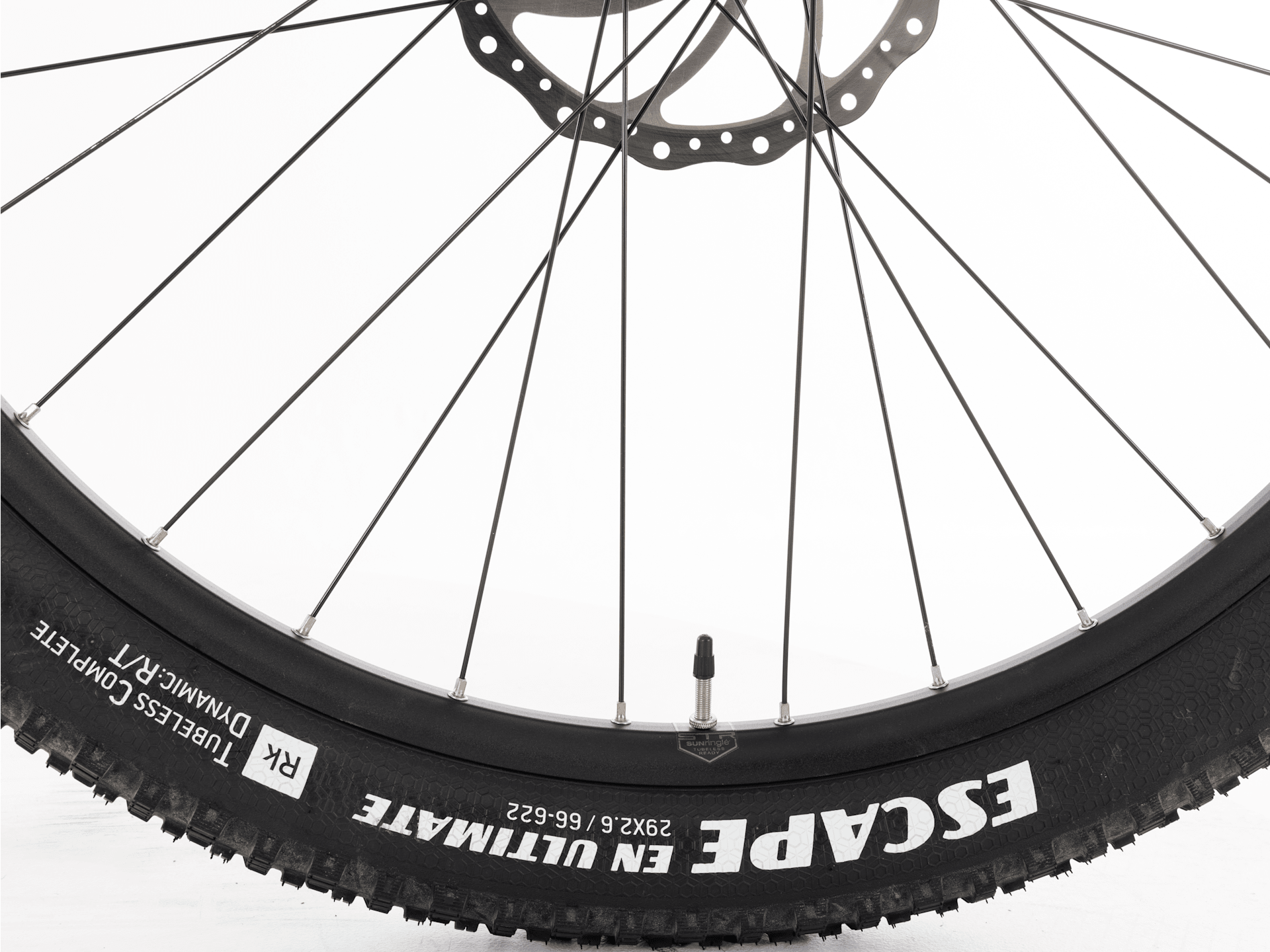 Rail 5 - 2021, Medium