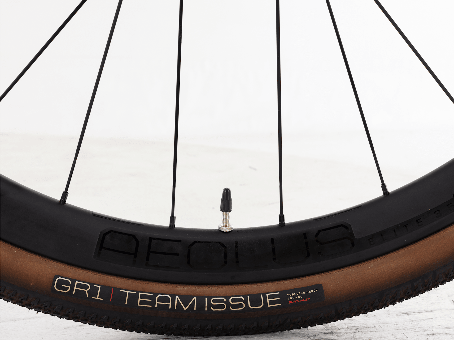 FX Sport 6 - 2024, Large