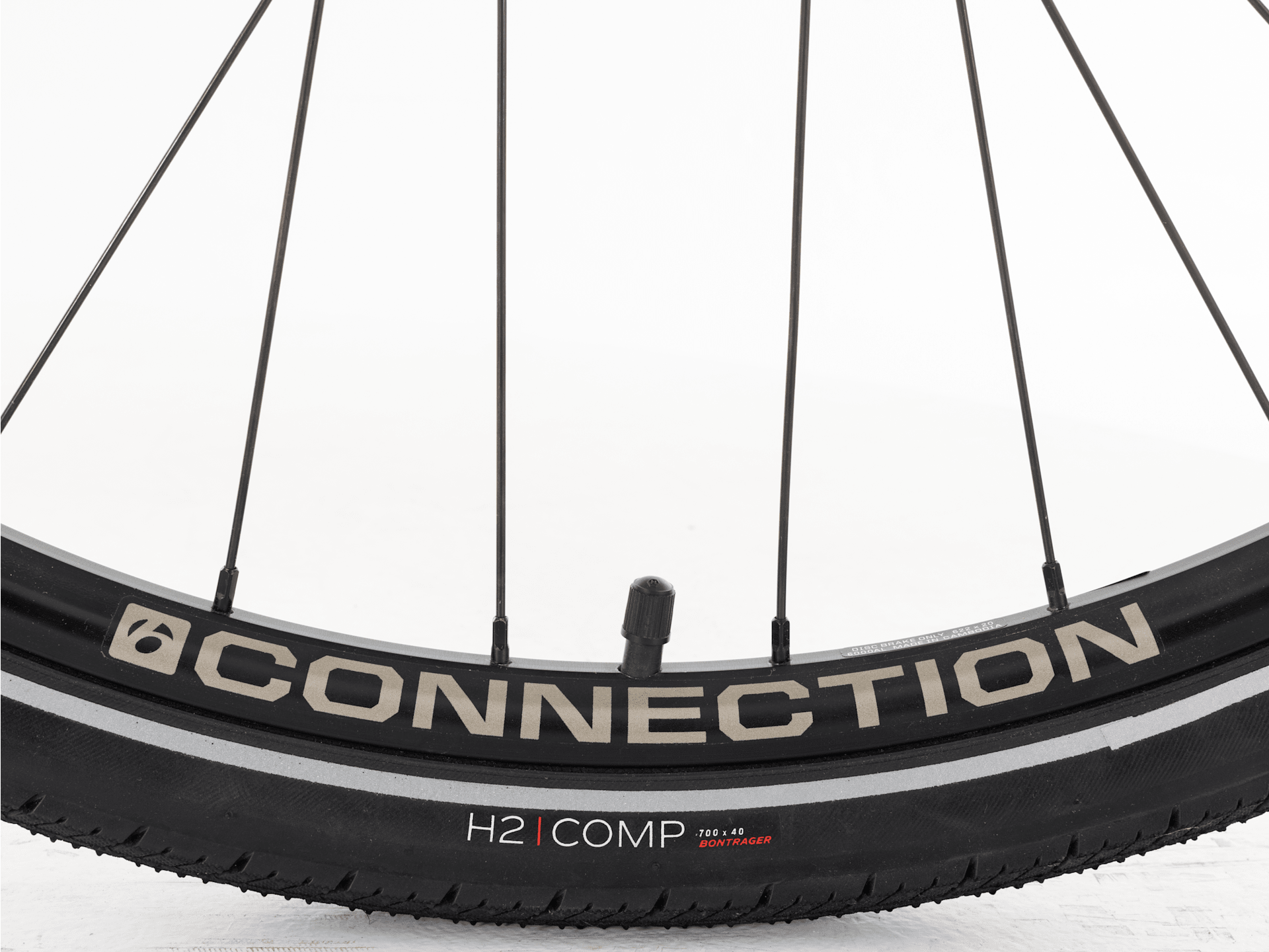 FX+ 2 - 2023, X-Large