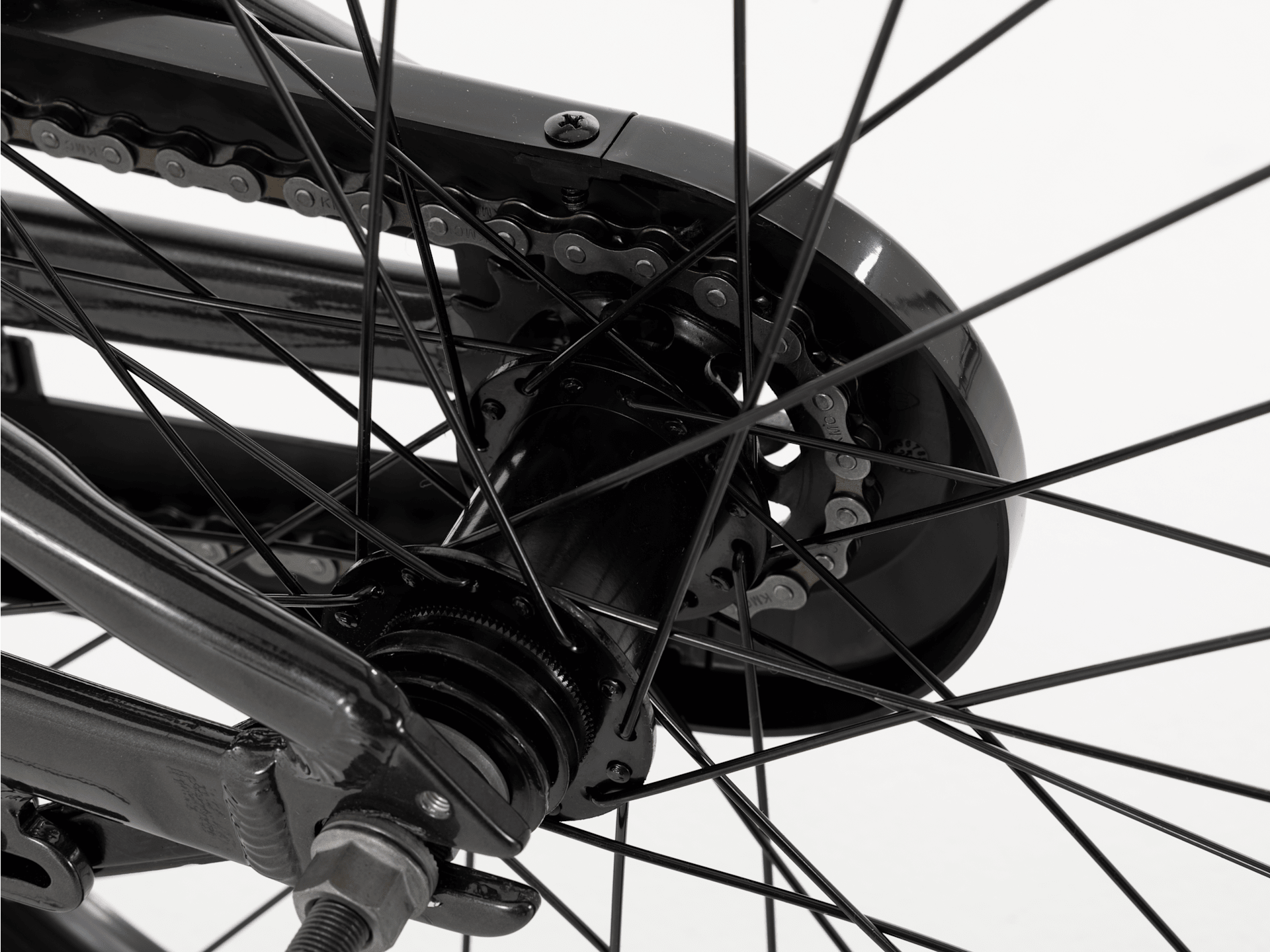 Precaliber 20 - 2026