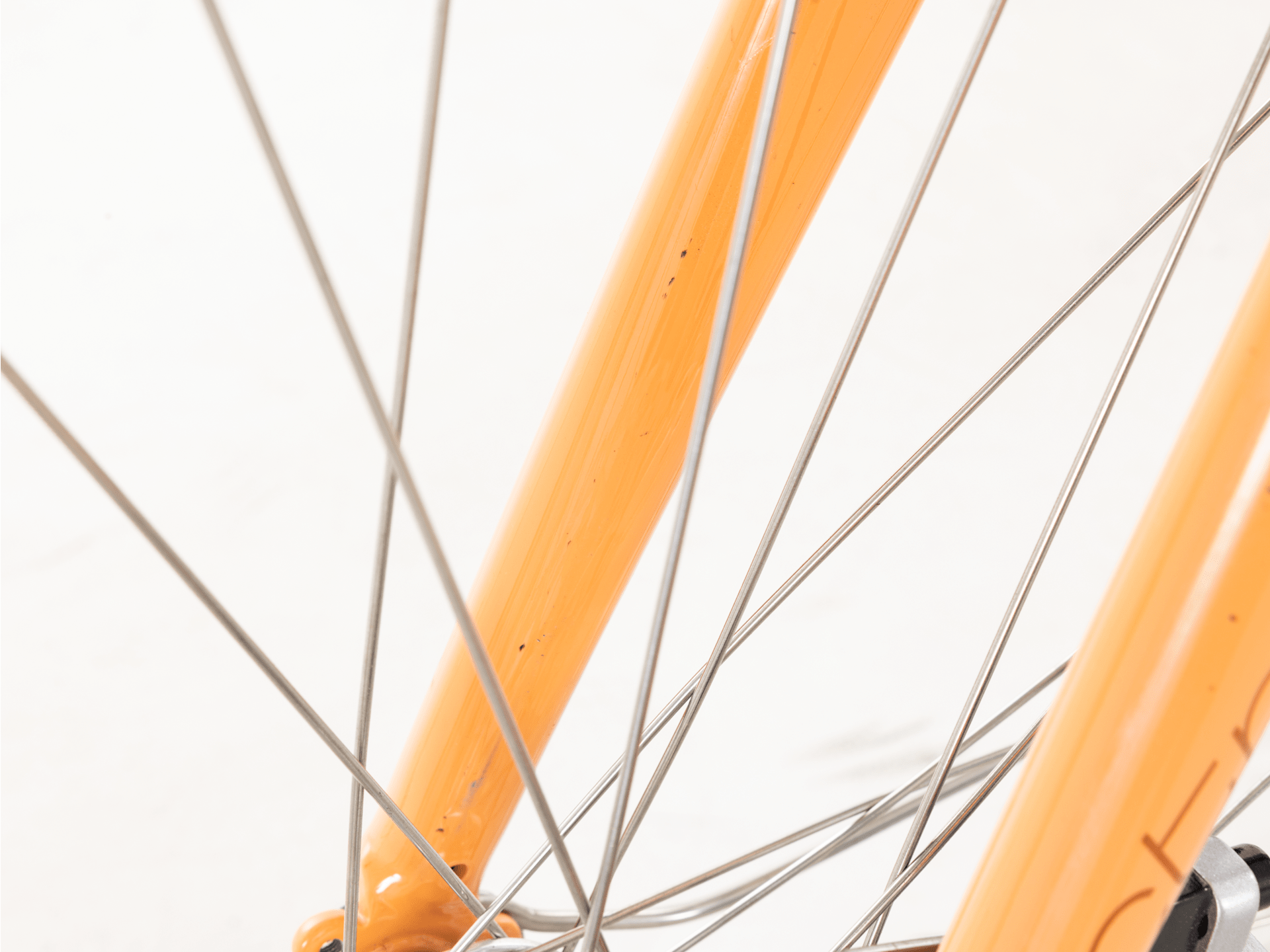 Townie Go! 5i EQ Step-Thru - 2024