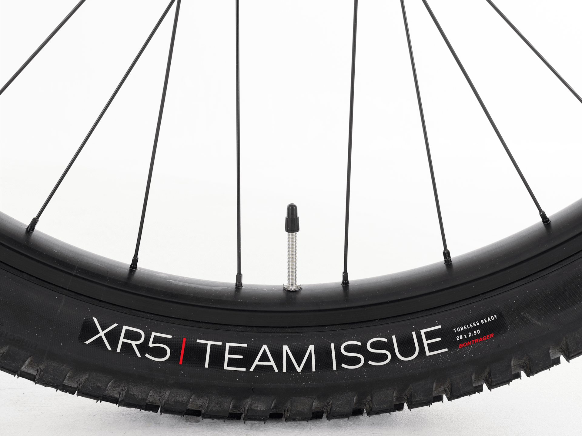 Fuel EXe 9.5 - 2023, Large