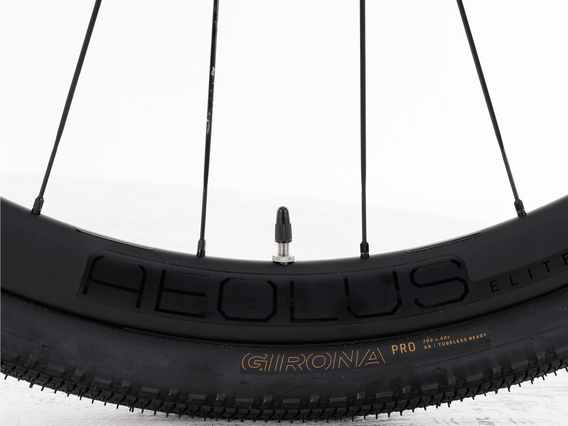 FX Sport SL 6 - 2026, Small