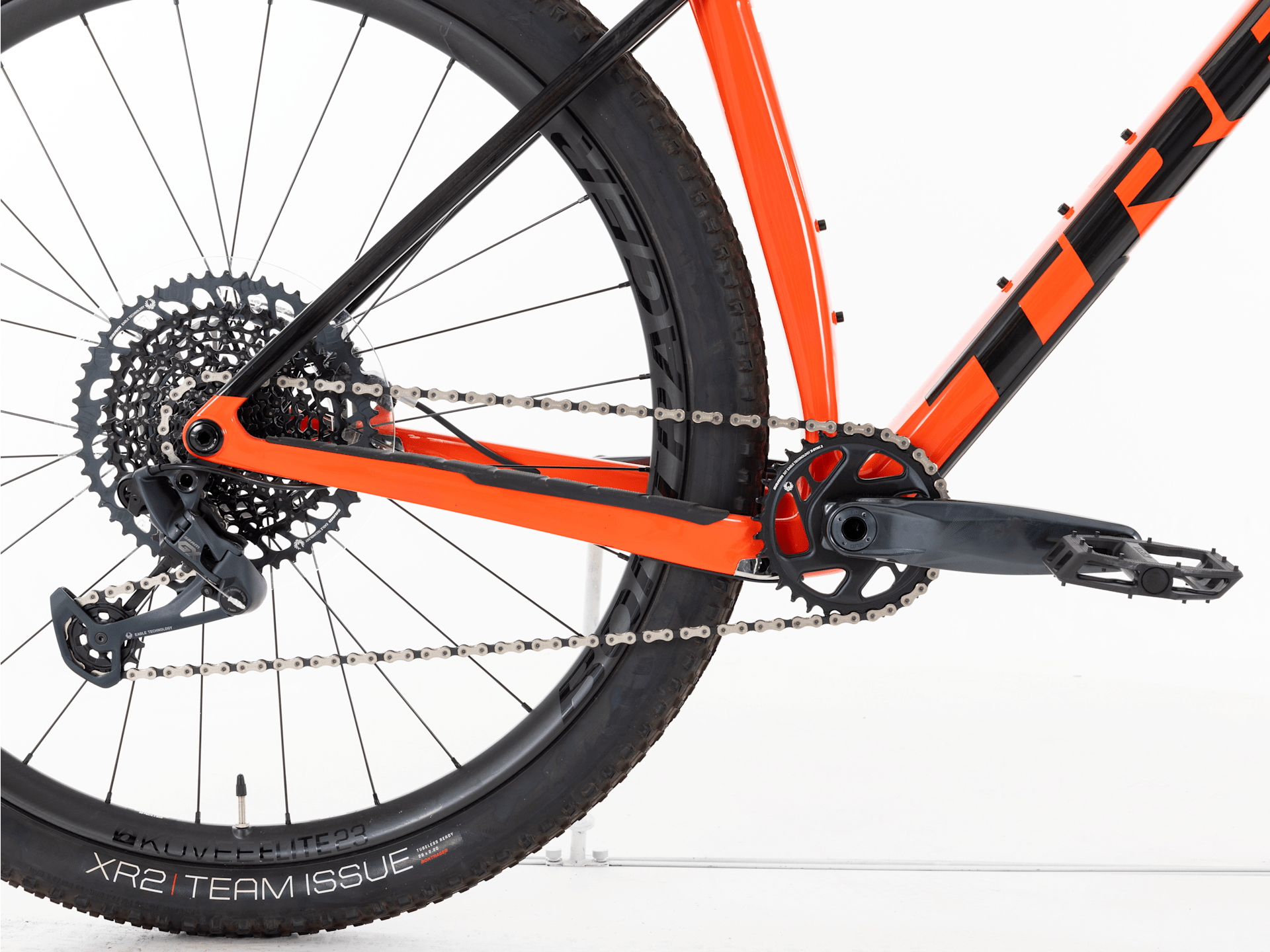 Procaliber 9.7 - 2023, Large