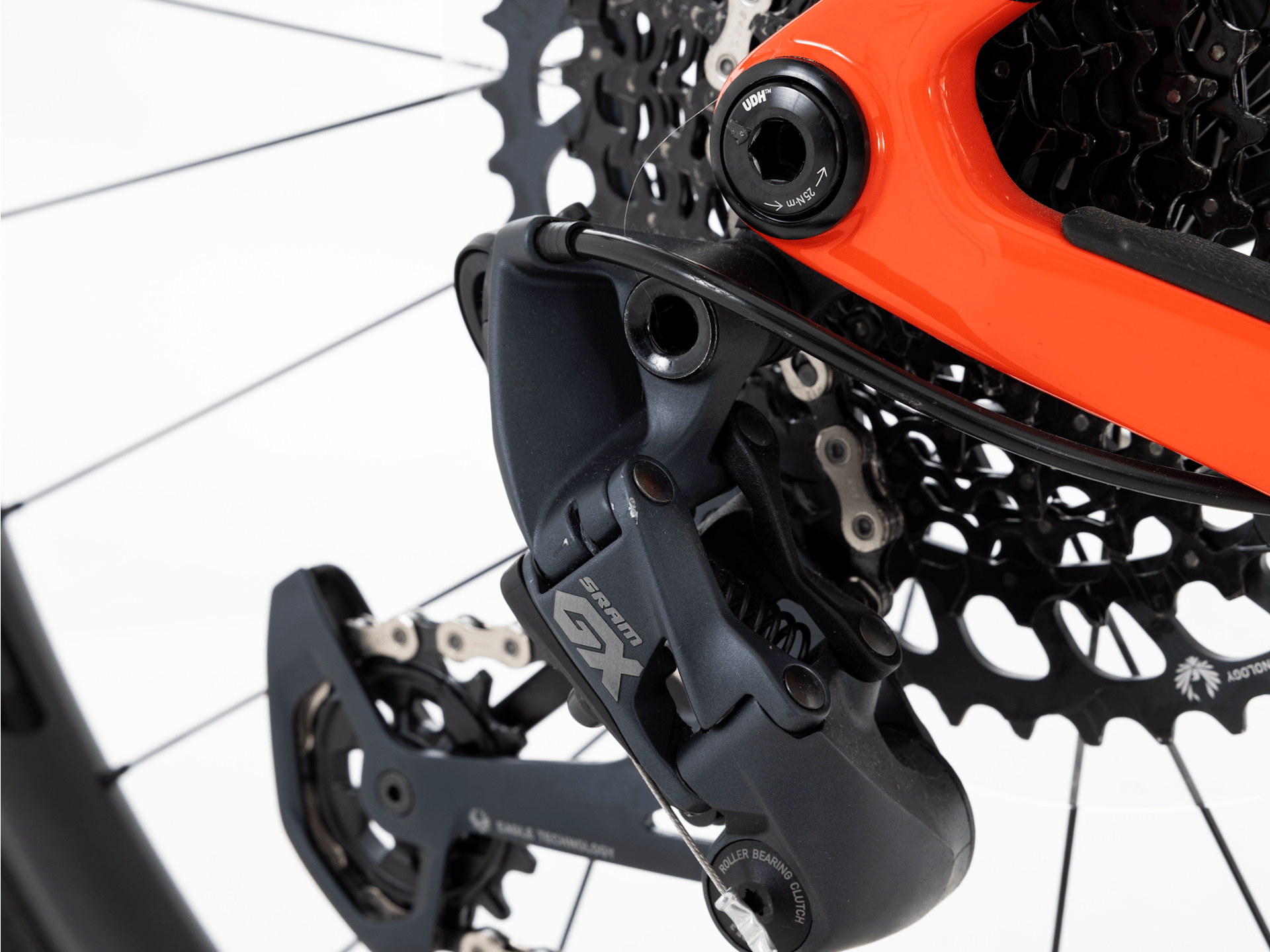 Procaliber 9.7 - 2023, Large