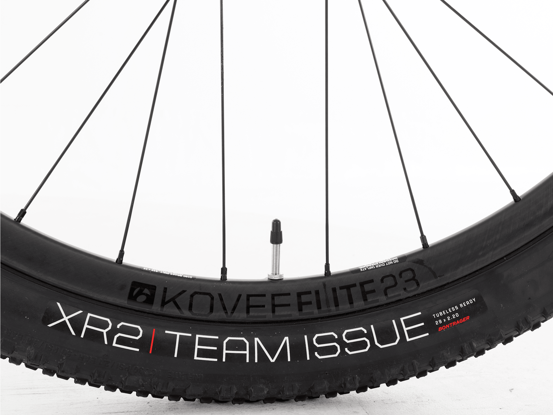 Procaliber 9.7 - 2023, Large
