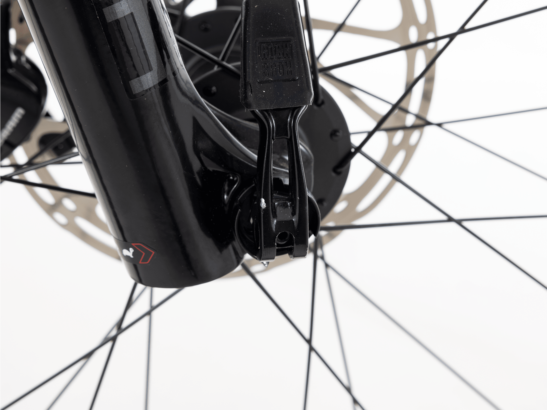 Procaliber 9.7 - 2023, Large