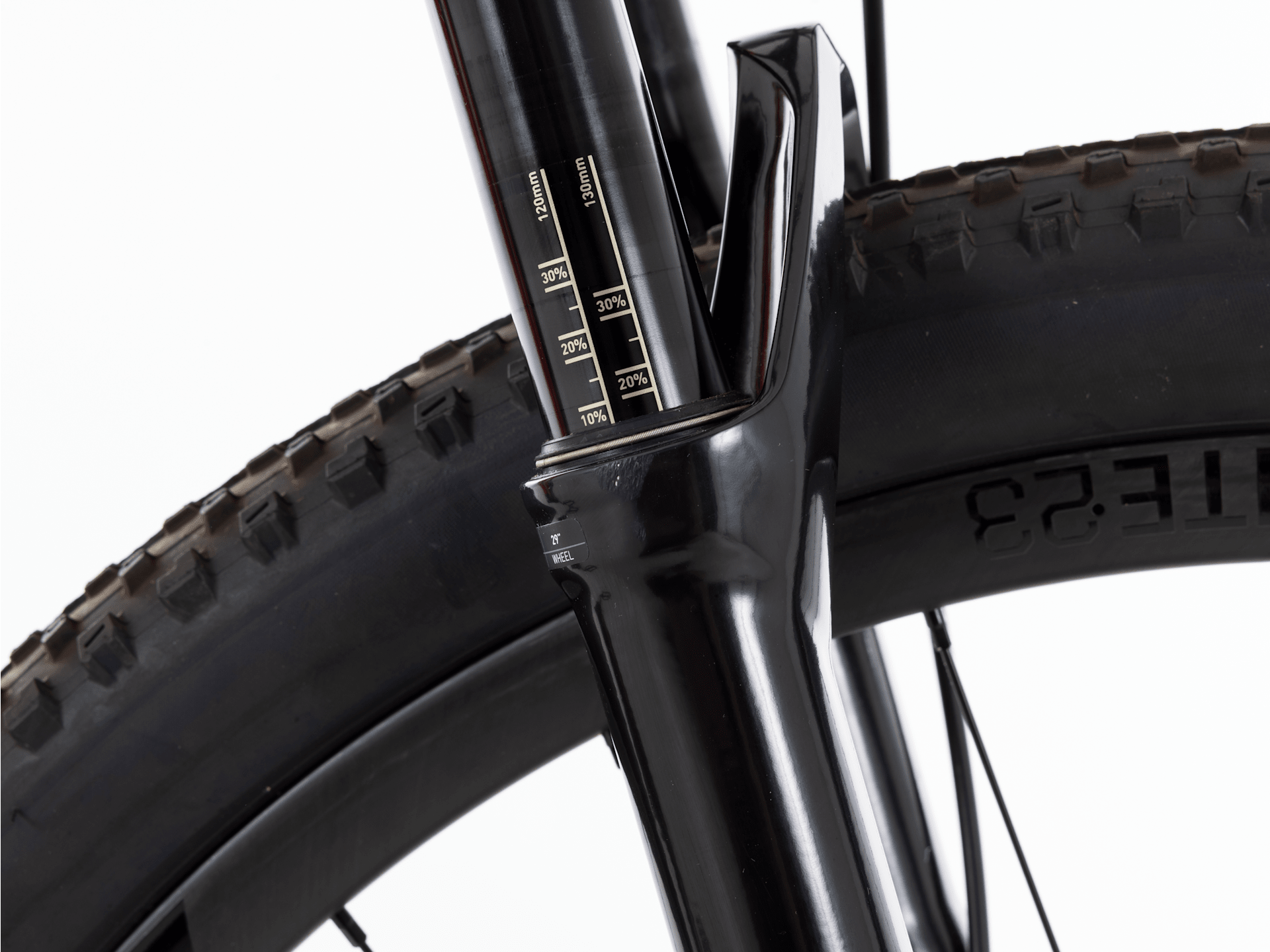 Procaliber 9.7 - 2023, Large
