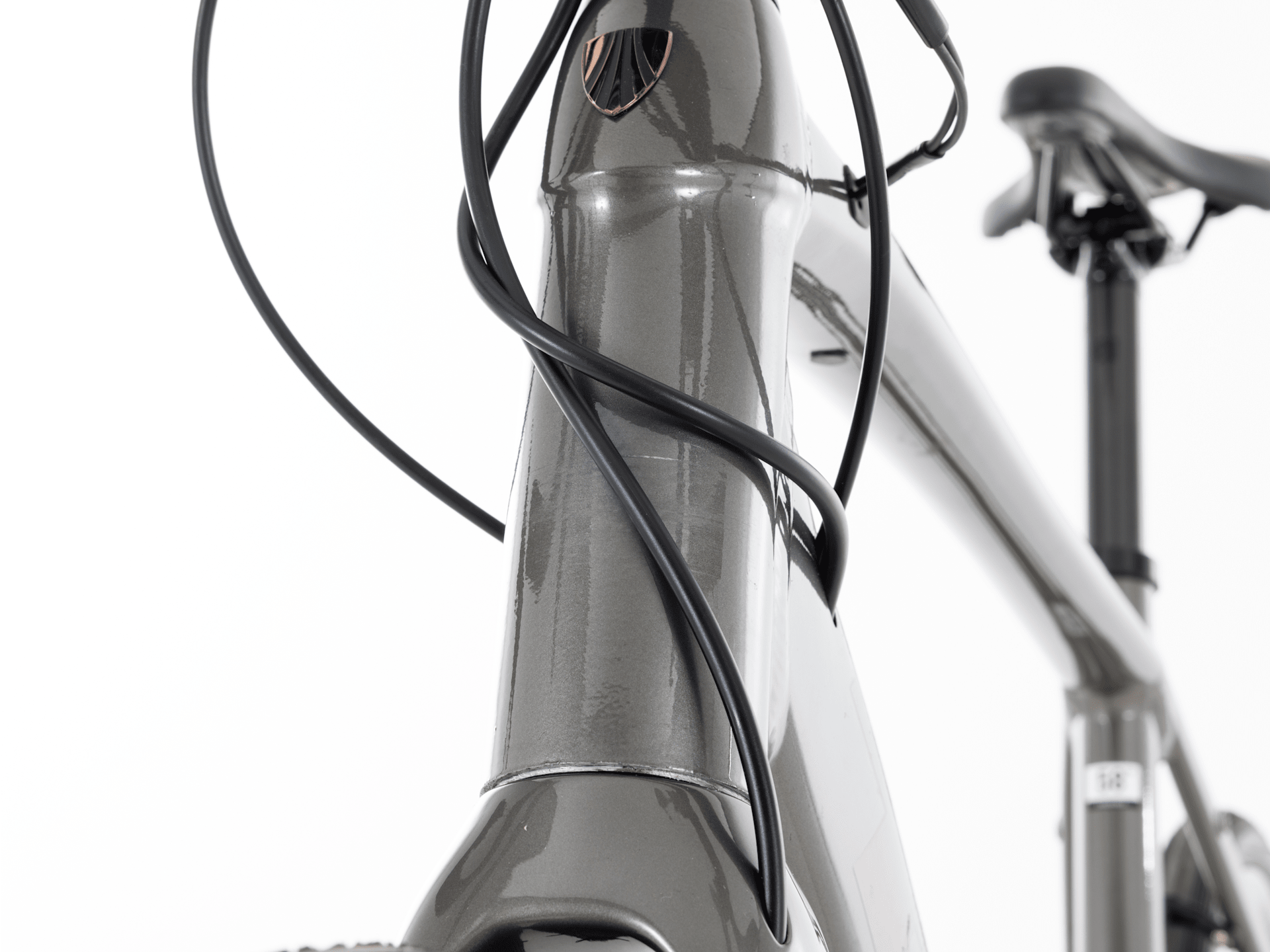 Domane+ AL 5 - 2024