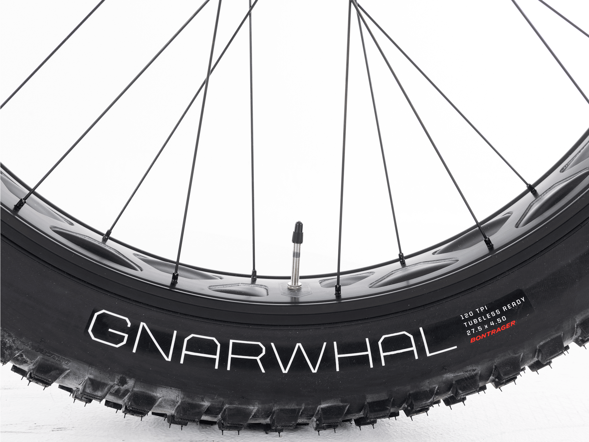 Farley 5 - 2026, X-Large