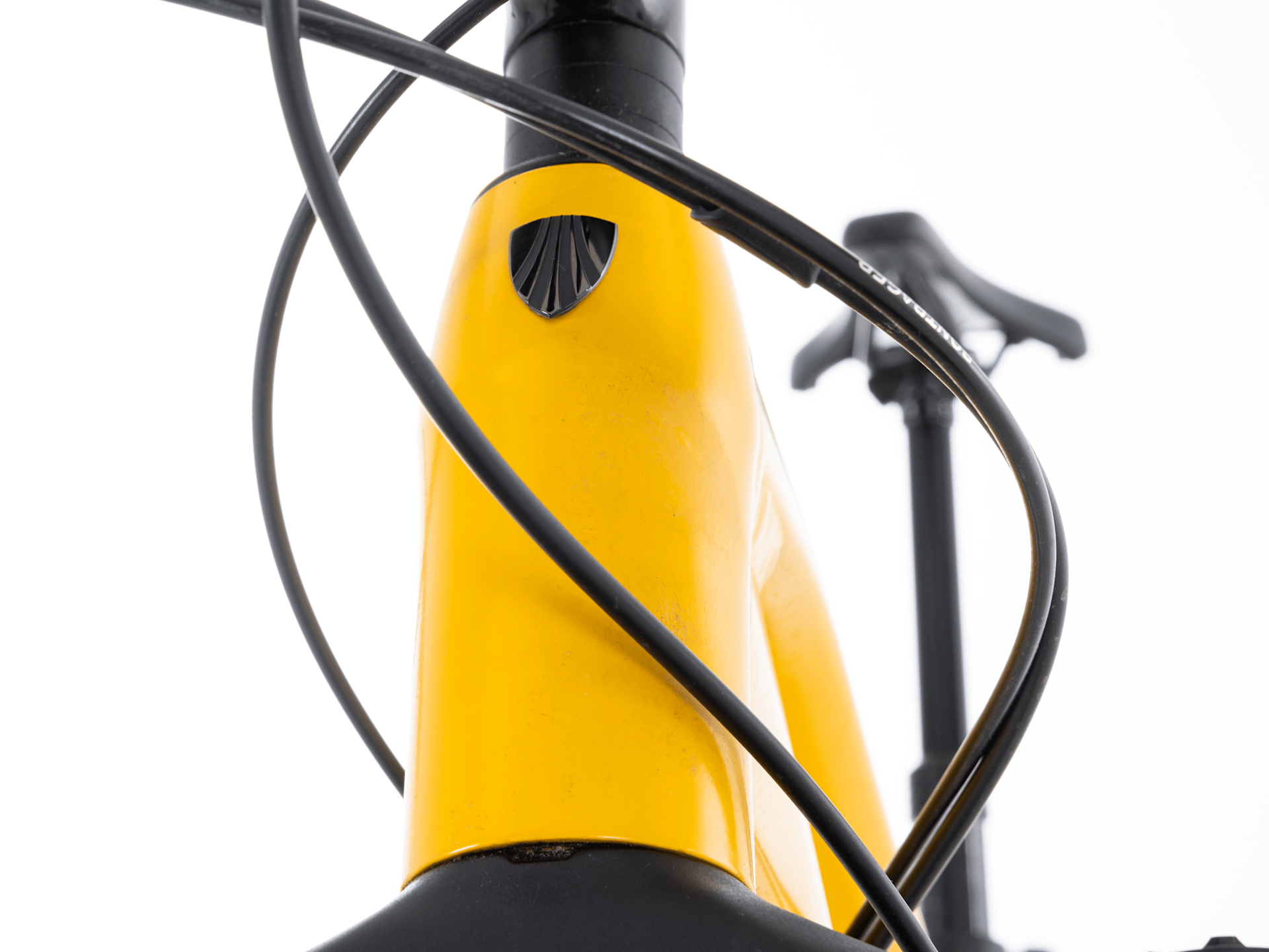 Farley 7 - 2024, X-Large