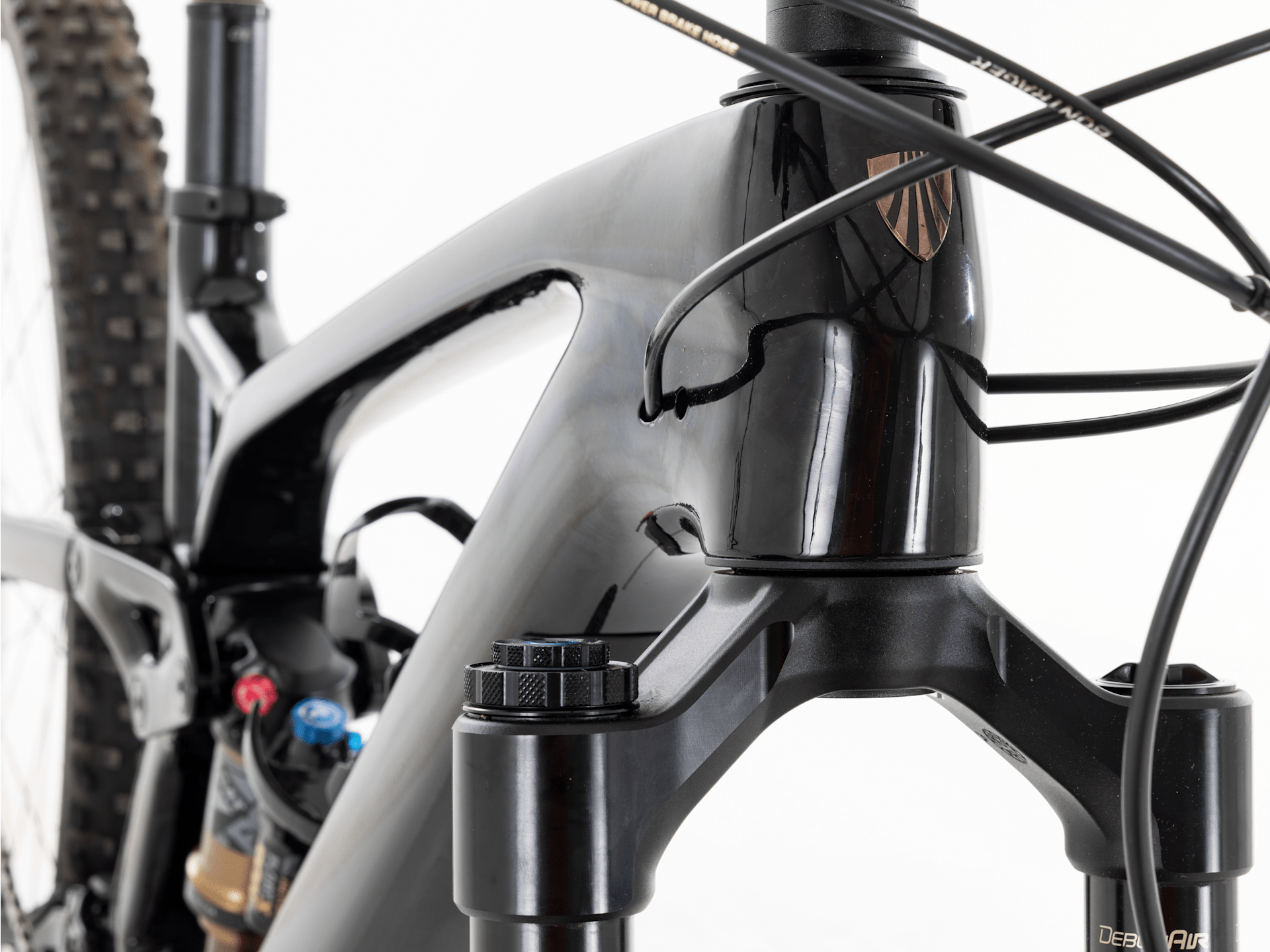 Fuel EX C Custom Gen 6 - Medium