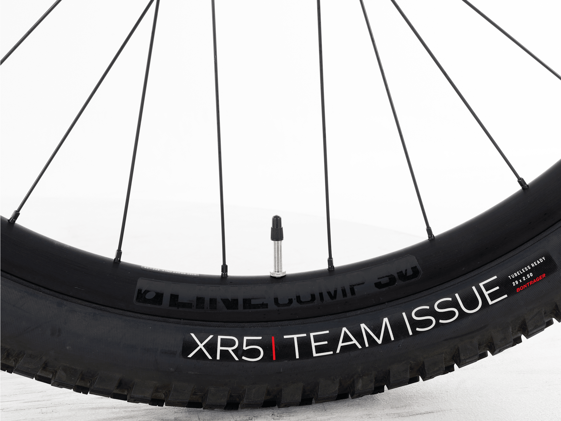 Fuel EXe 9.7 - 2023, Large