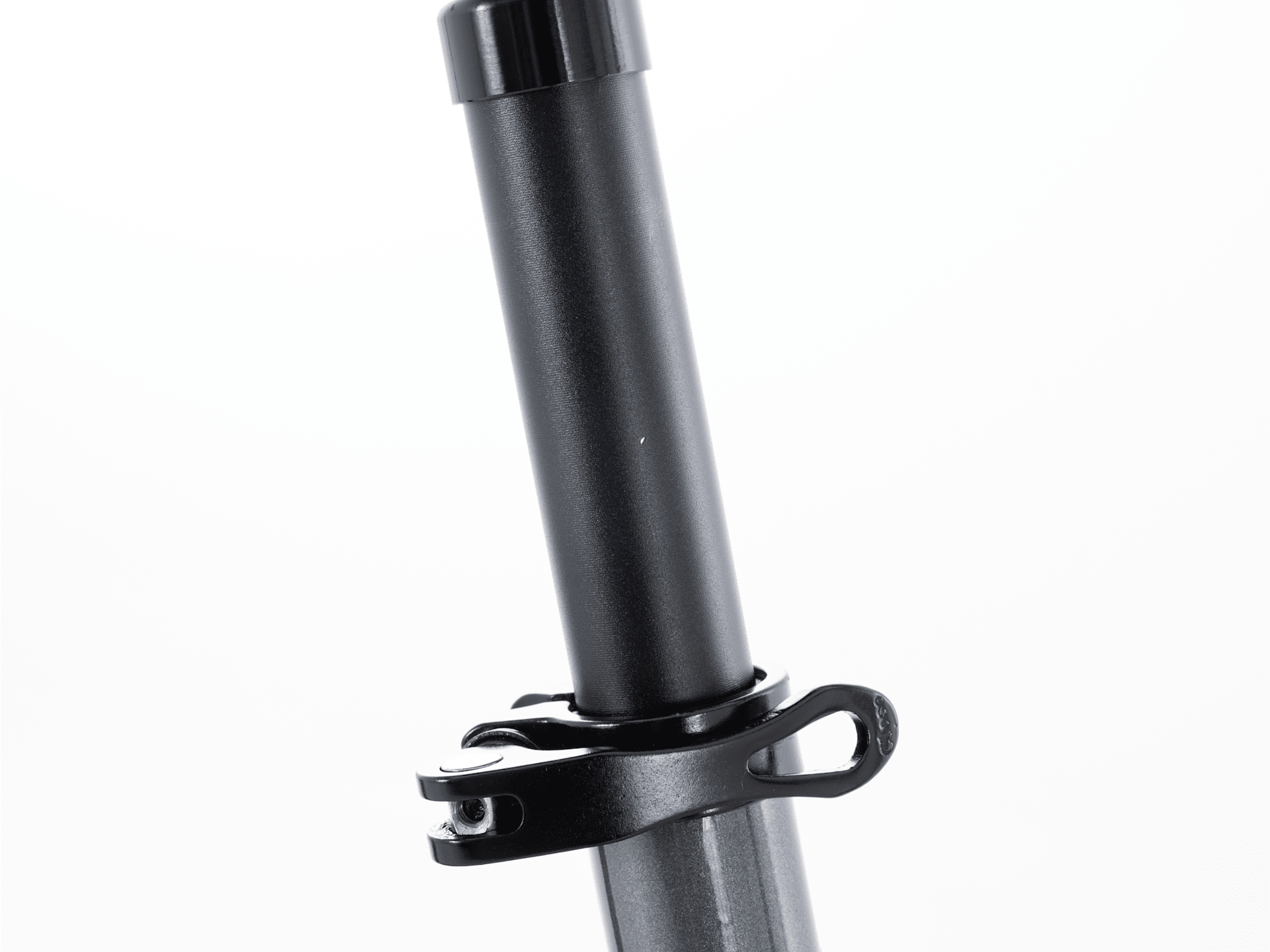 Verve 2 Lowstep Gen 5 - 2026, Large
