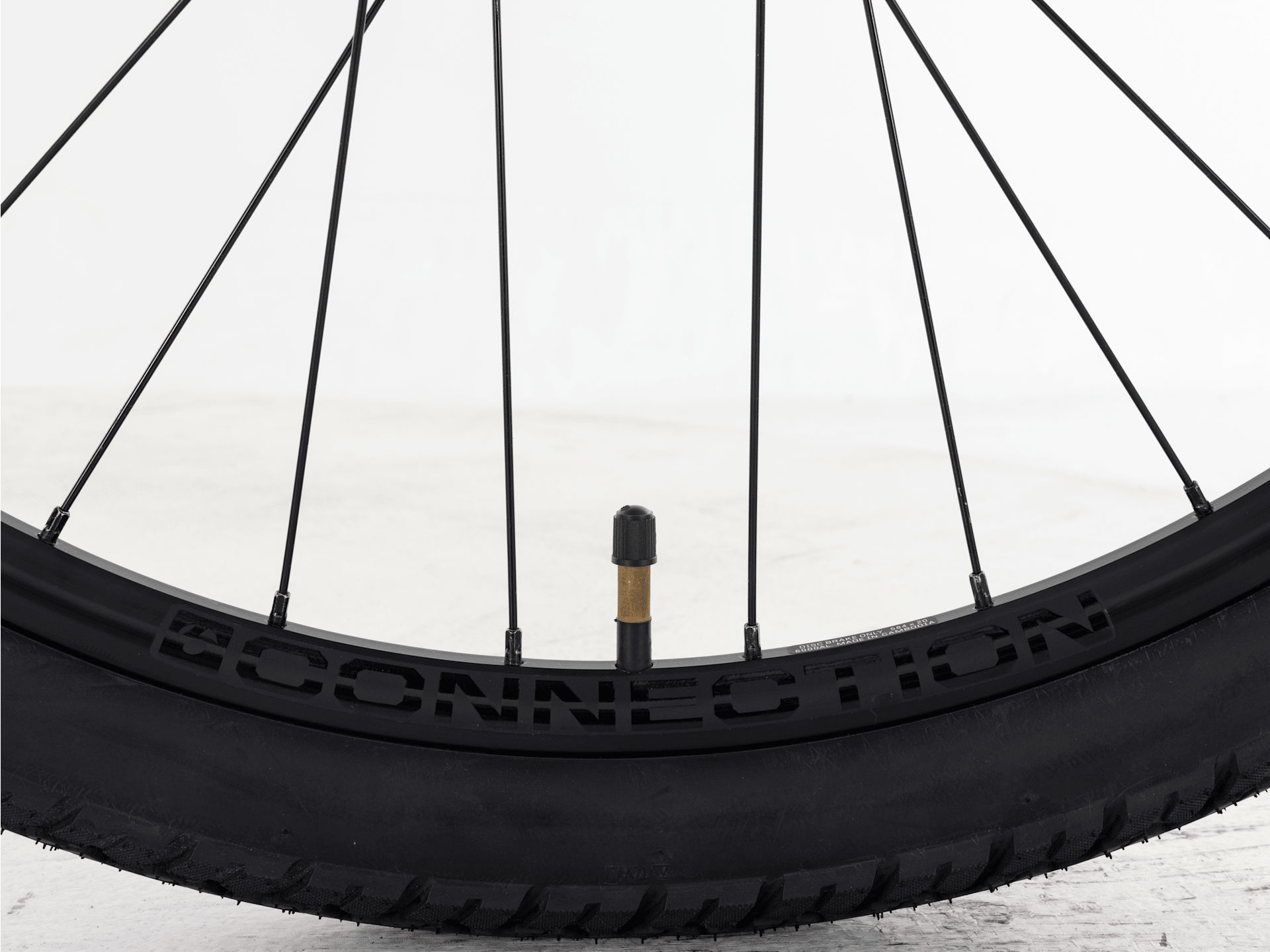 Dual Sport 2 Gen 5 - 2025, Medium