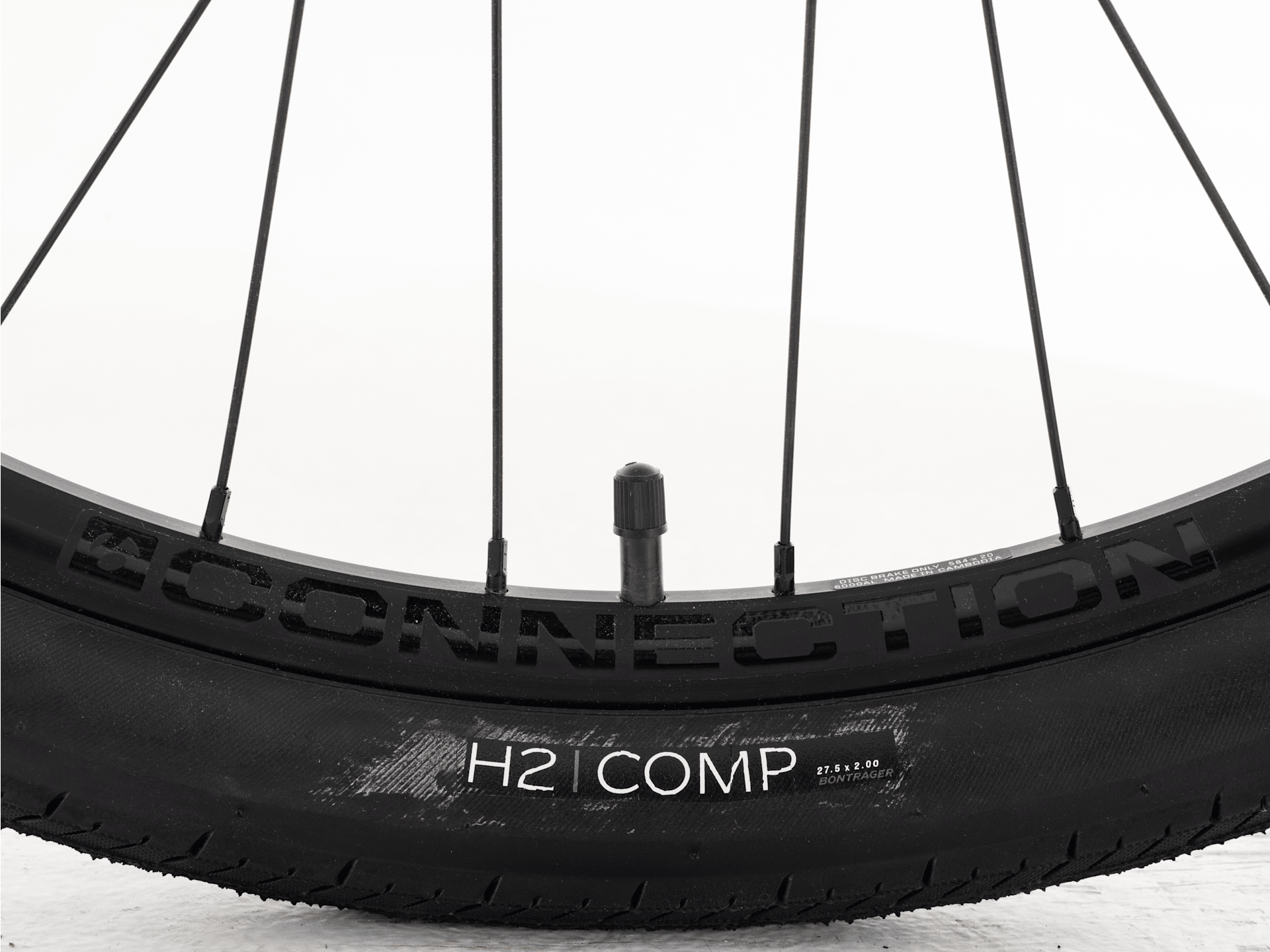 Verve+ 1 Lowstep LT - 2026, Small