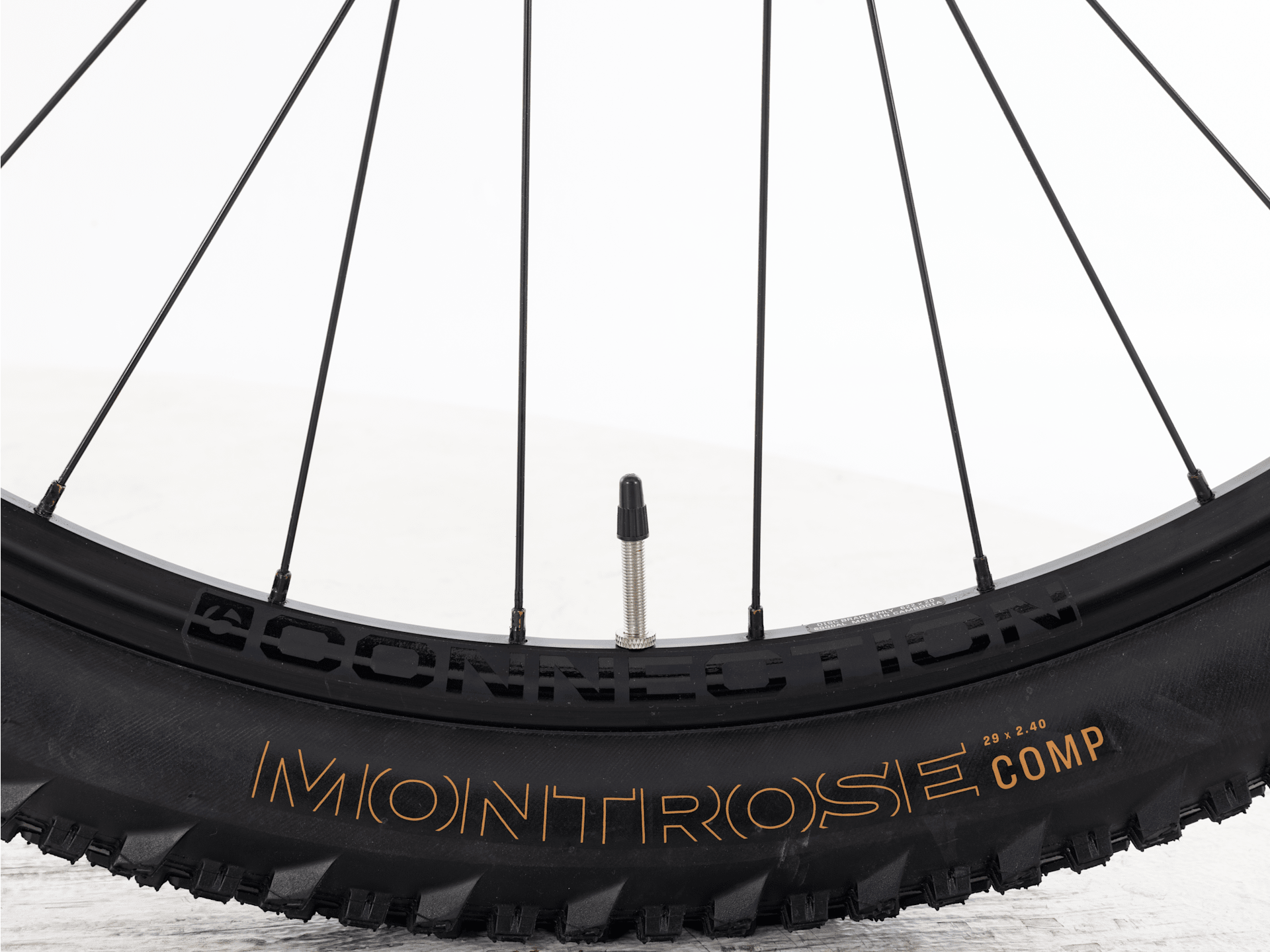 Marlin+ 6 - 2025, Medium