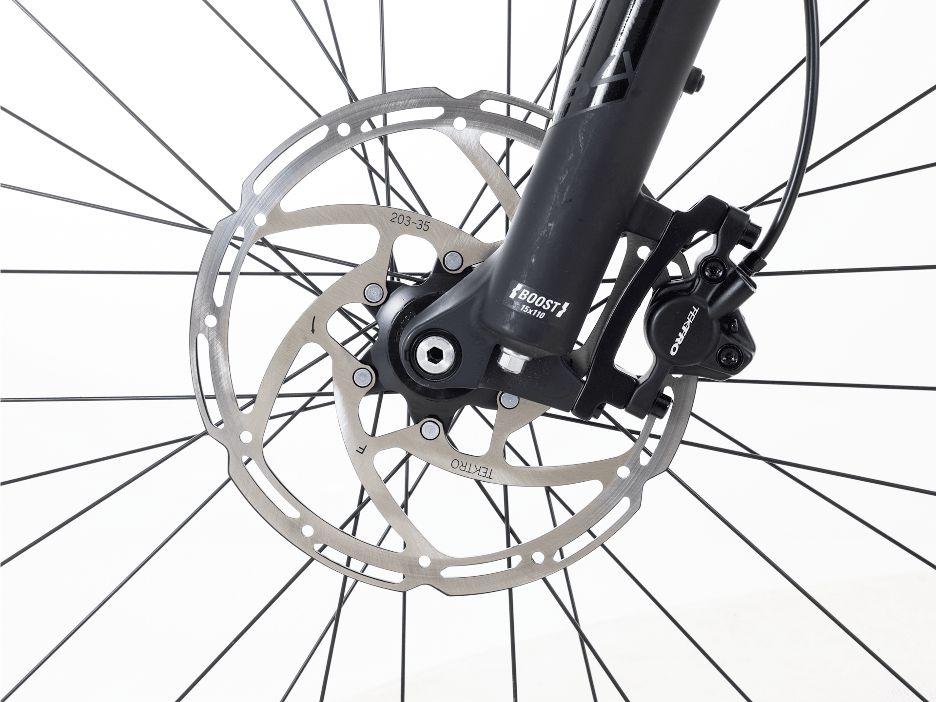 Marlin+ 6 - 2025, Medium