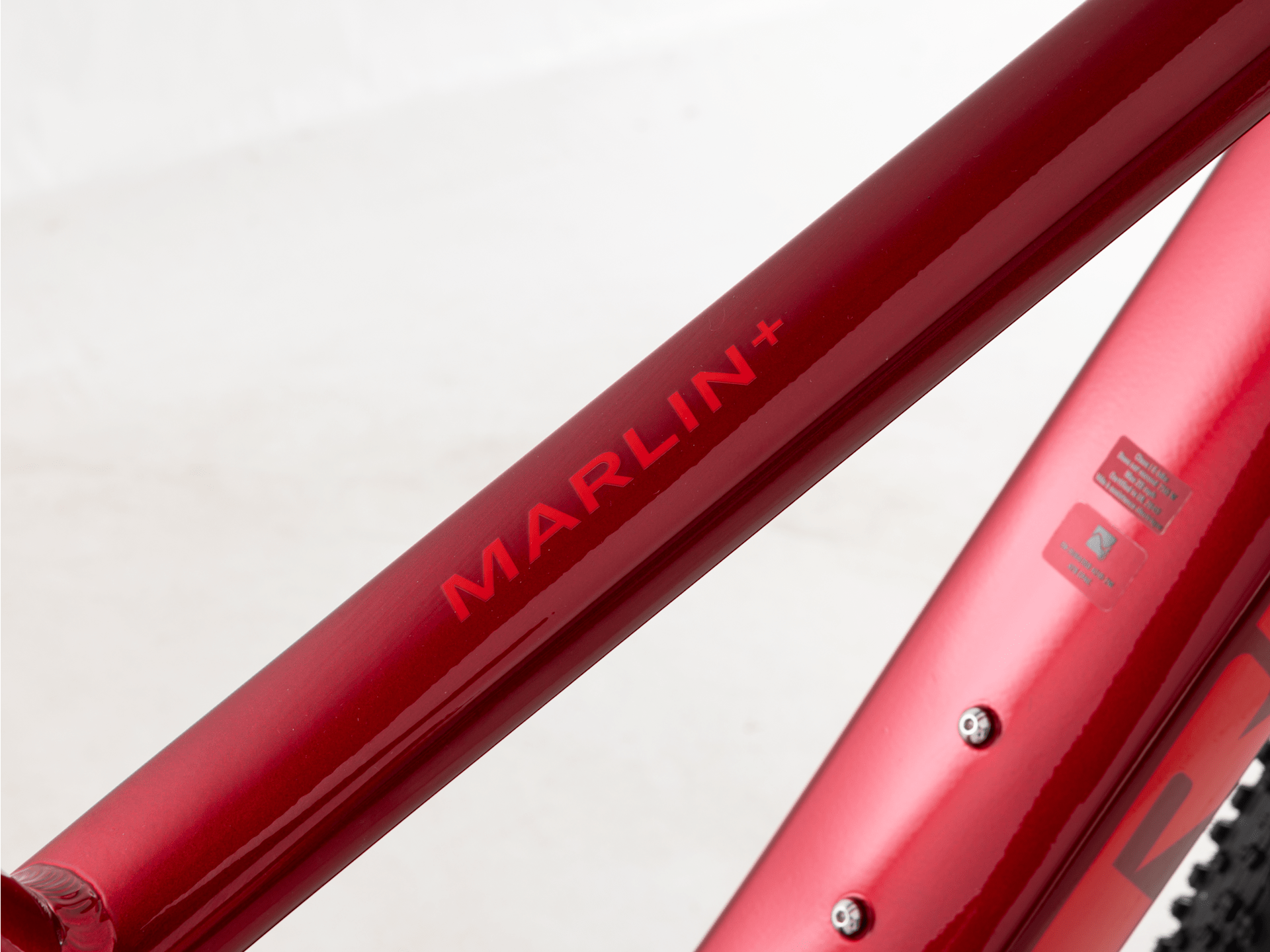 Marlin+ 6 - 2025, Medium