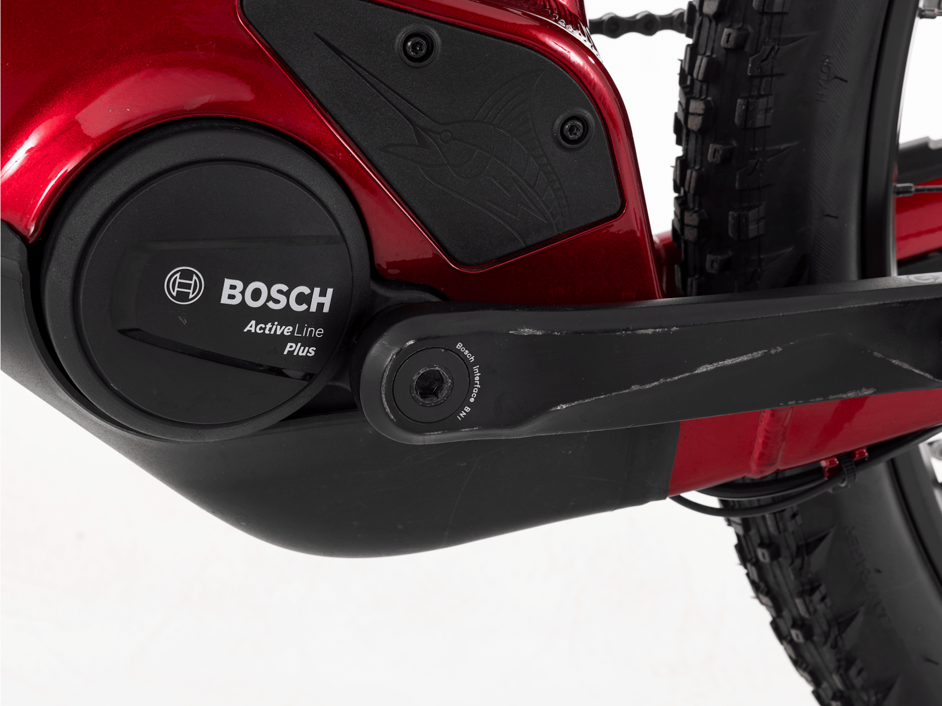 Marlin+ 6 - 2025, X-Large