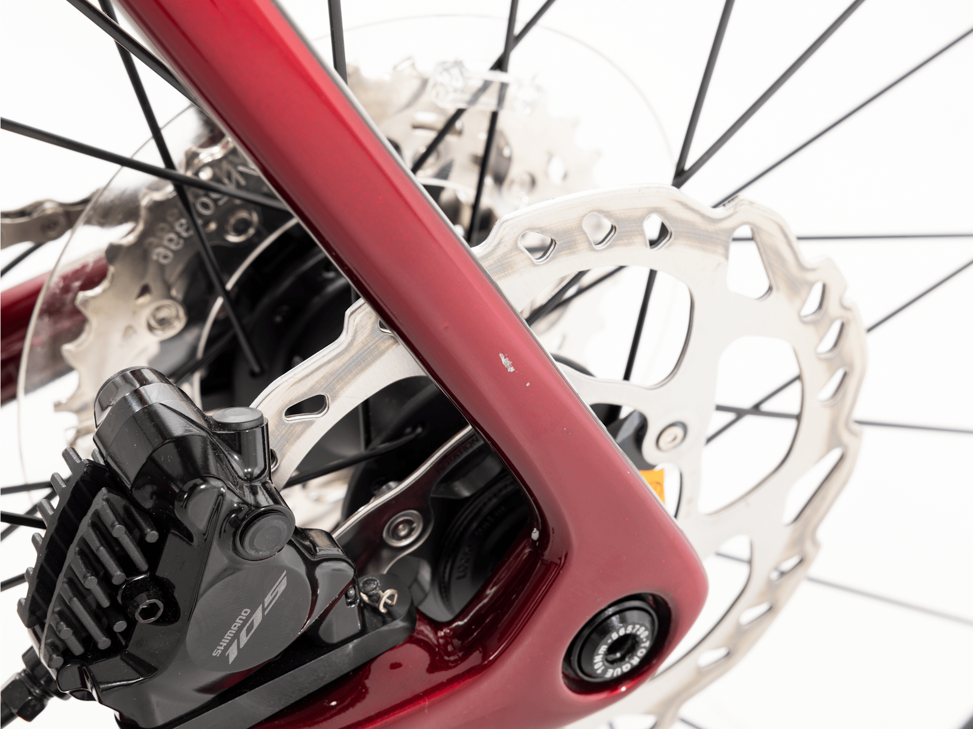 monda SL 6 - 2024