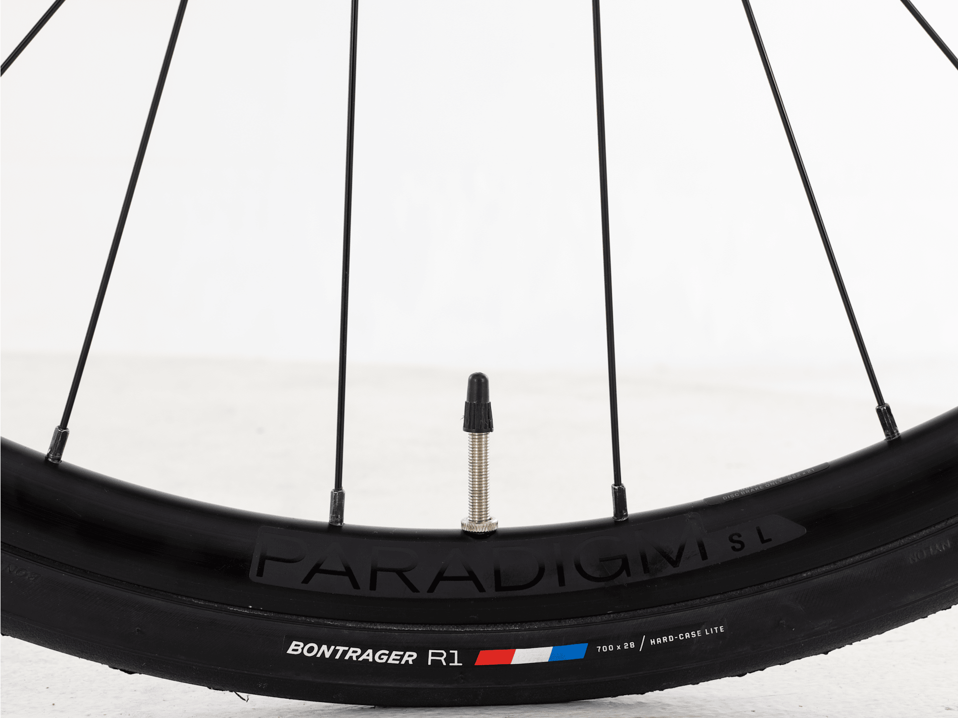 monda ALR 5 - 2025