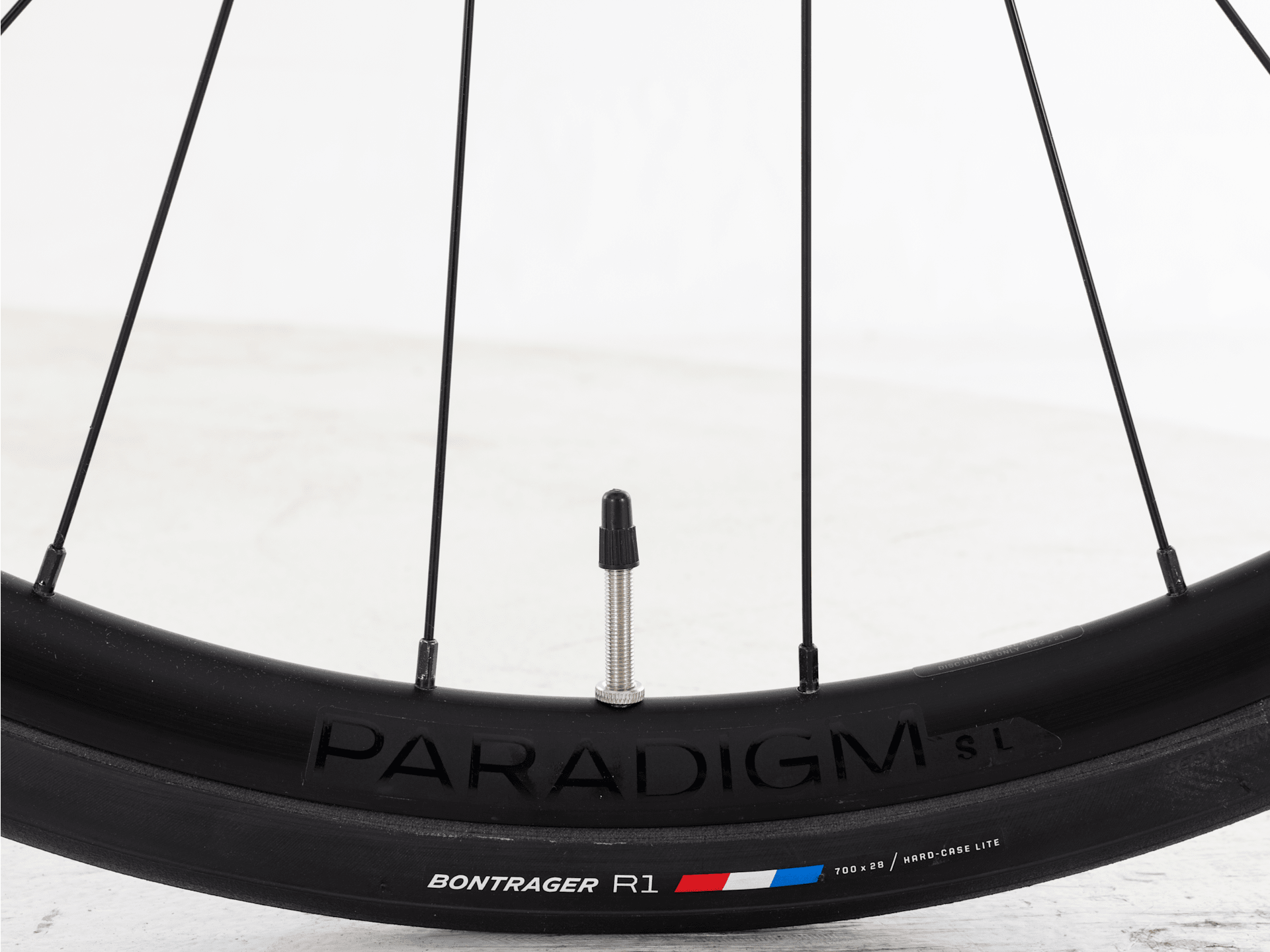 monda ALR 5 - 2025