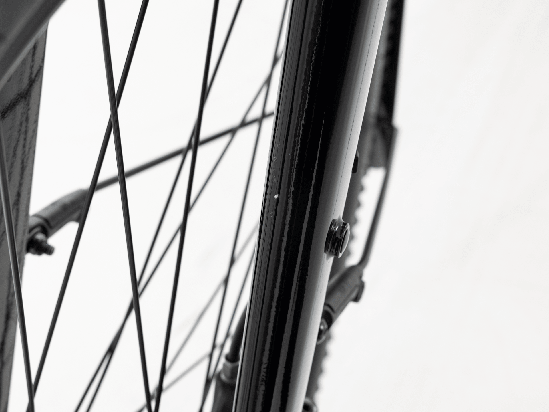 Verve+ 2 Lowstep Gen 3 - 2026, Medium