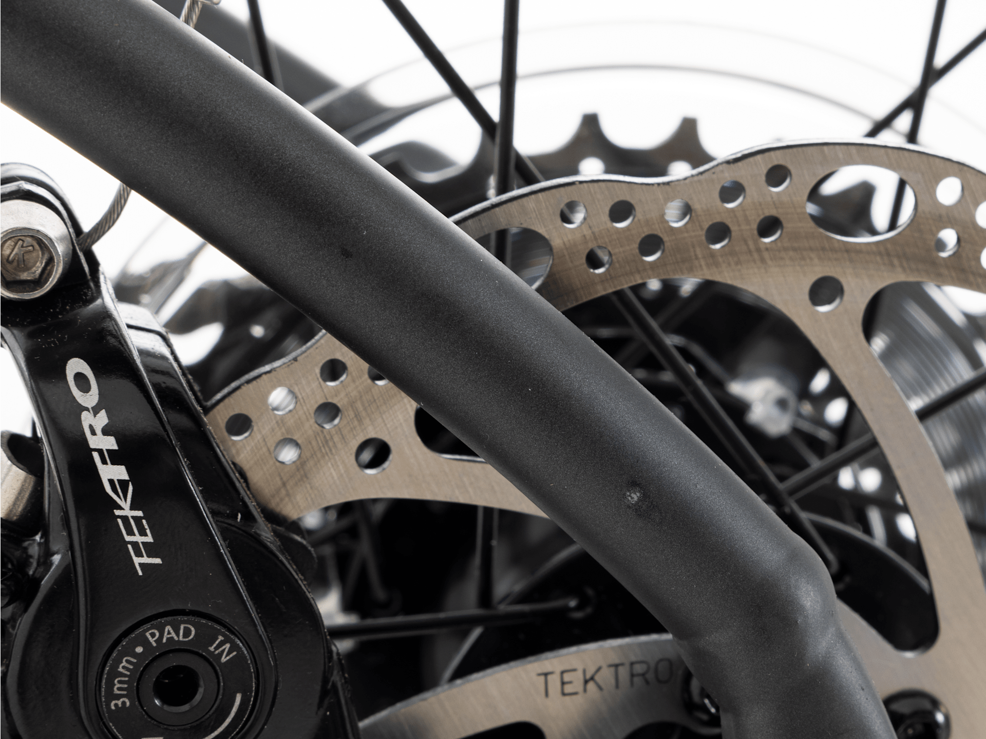 Domane AL 2 Gen 4 - 2026, 44cm