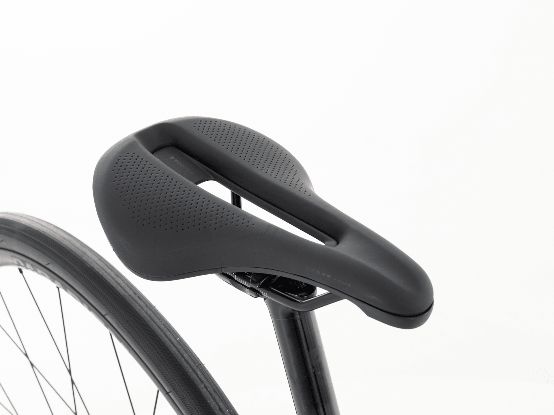 Domane AL 2 Gen 4 - 2026, 44cm