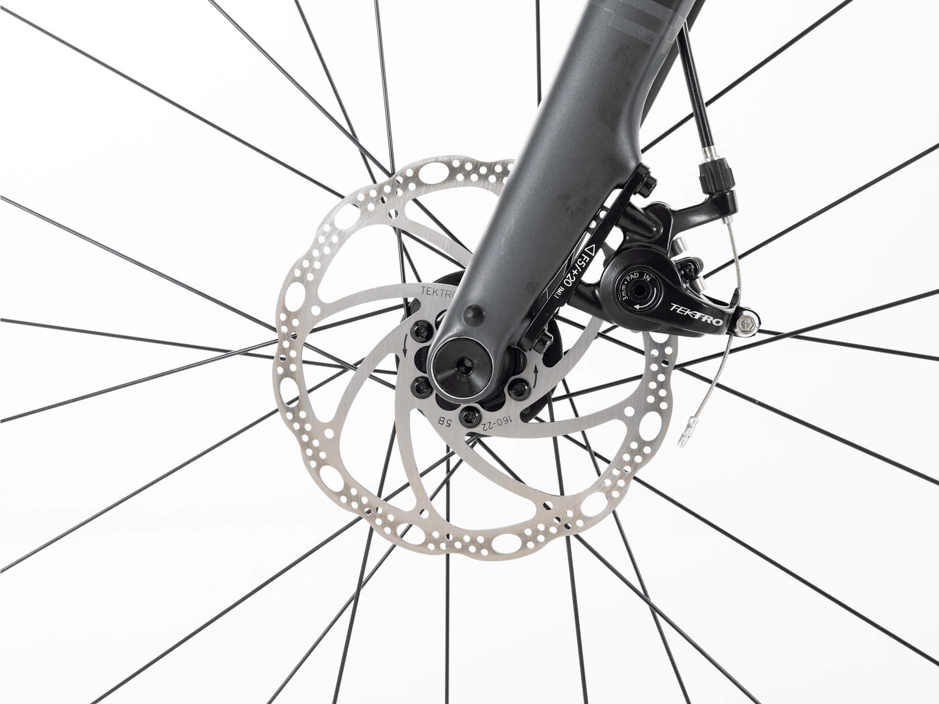 Domane AL 2 Gen 4 - 2026, 44cm