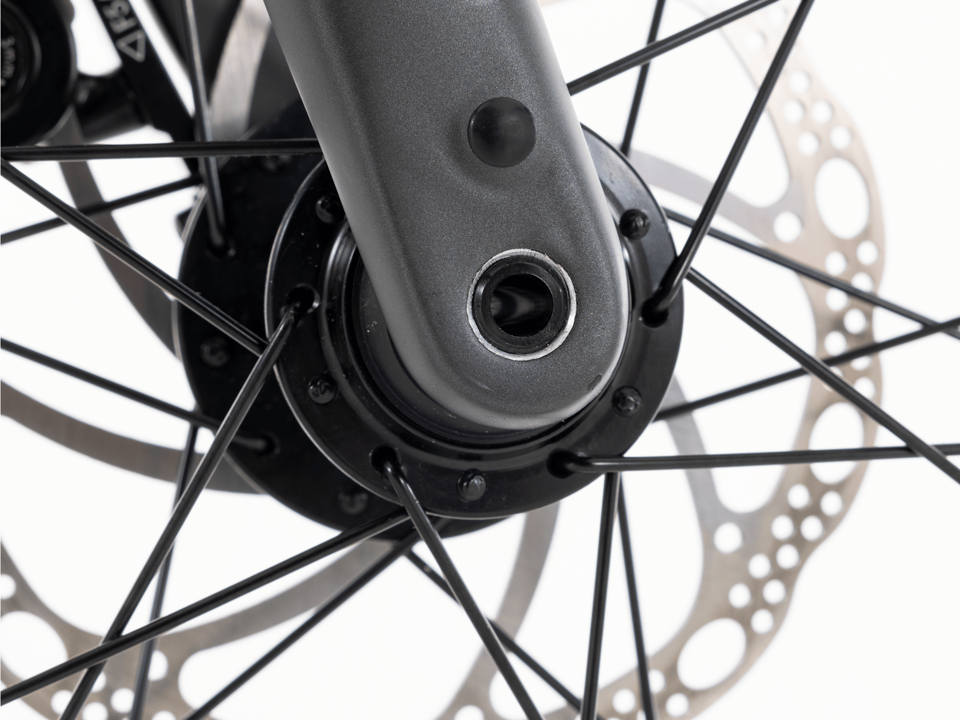Domane AL 2 Gen 4 - 2026, 44cm