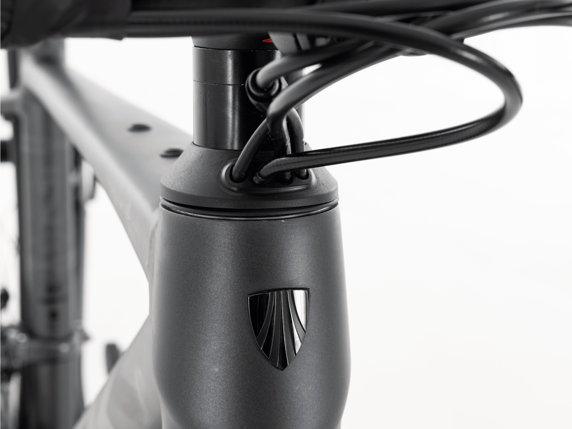 Domane AL 2 Gen 4 - 2026, 44cm