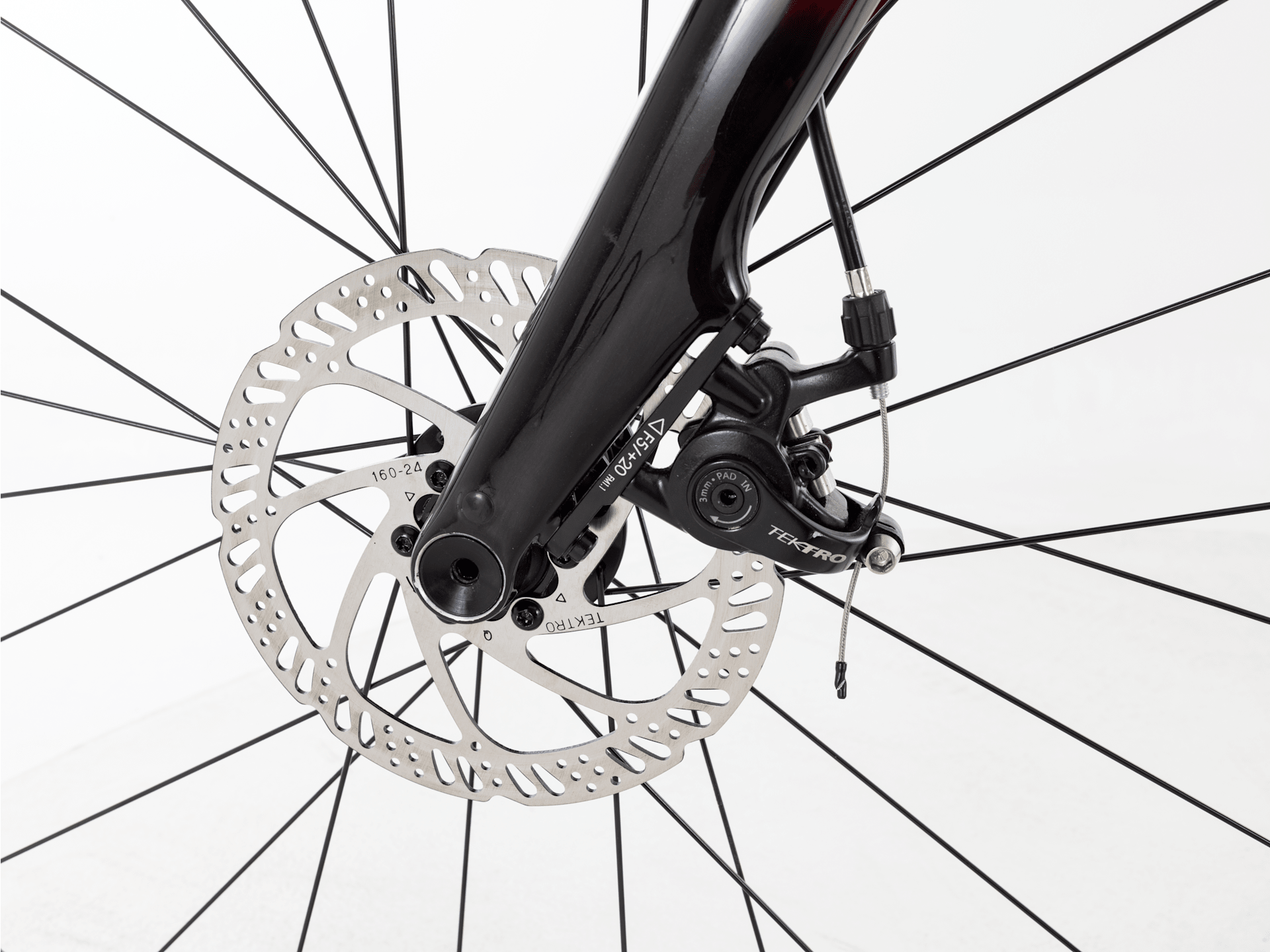 Domane AL 2 Gen 4 - 2026, 52cm