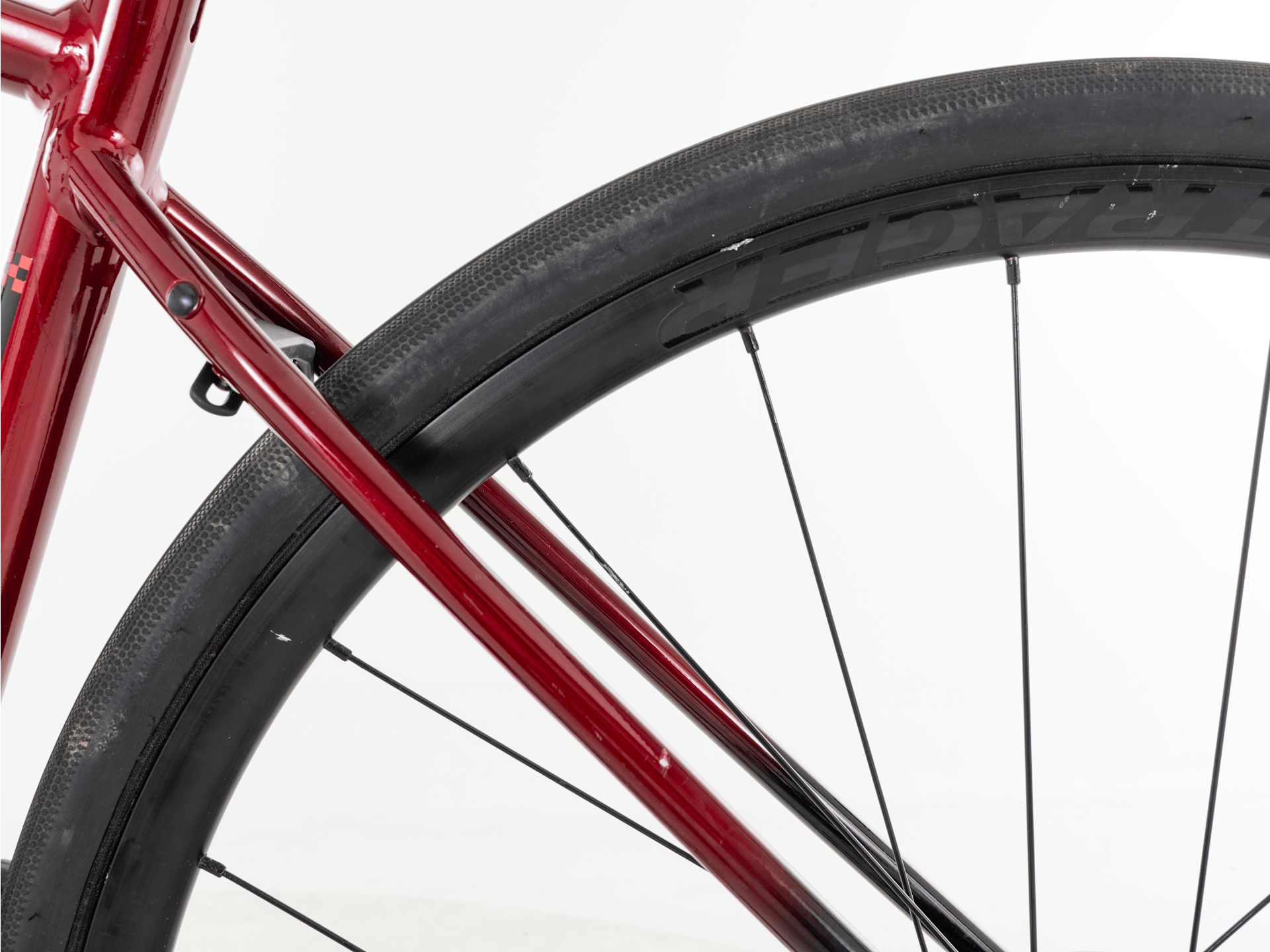 Domane AL 2 Gen 4 - 2026, 52cm