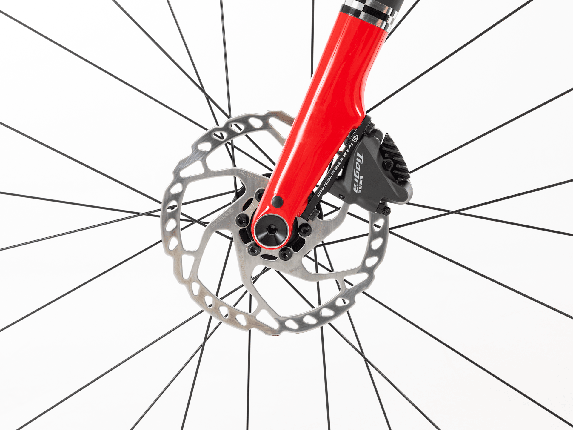 Domane AL 4 Gen 4 - 2024, 56cm