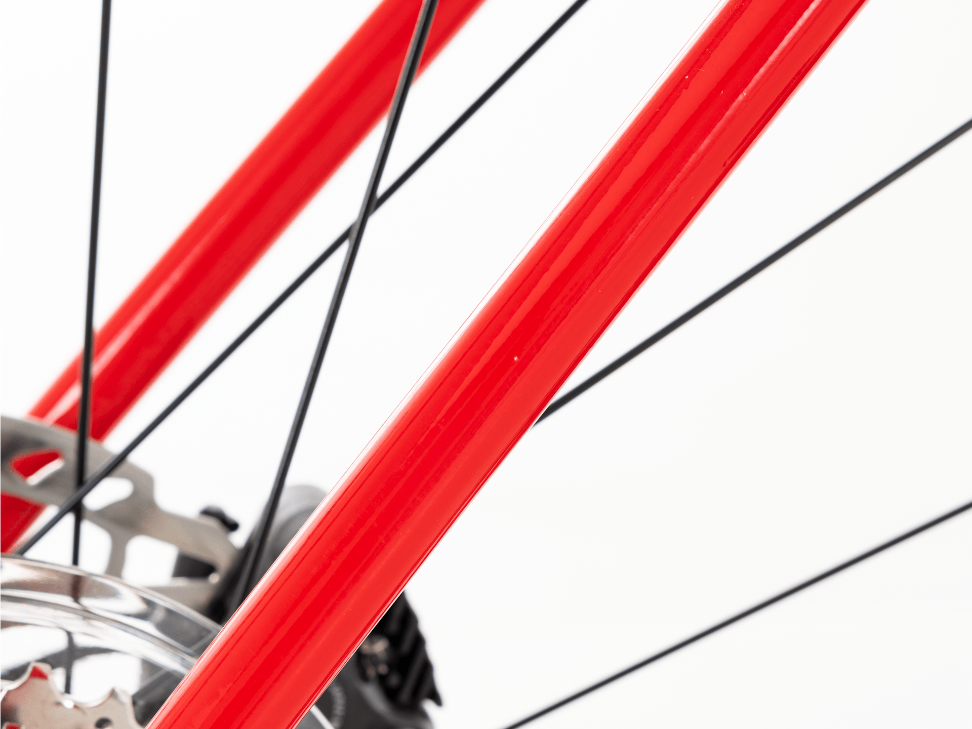 Domane AL 4 Gen 4 - 2024, 56cm