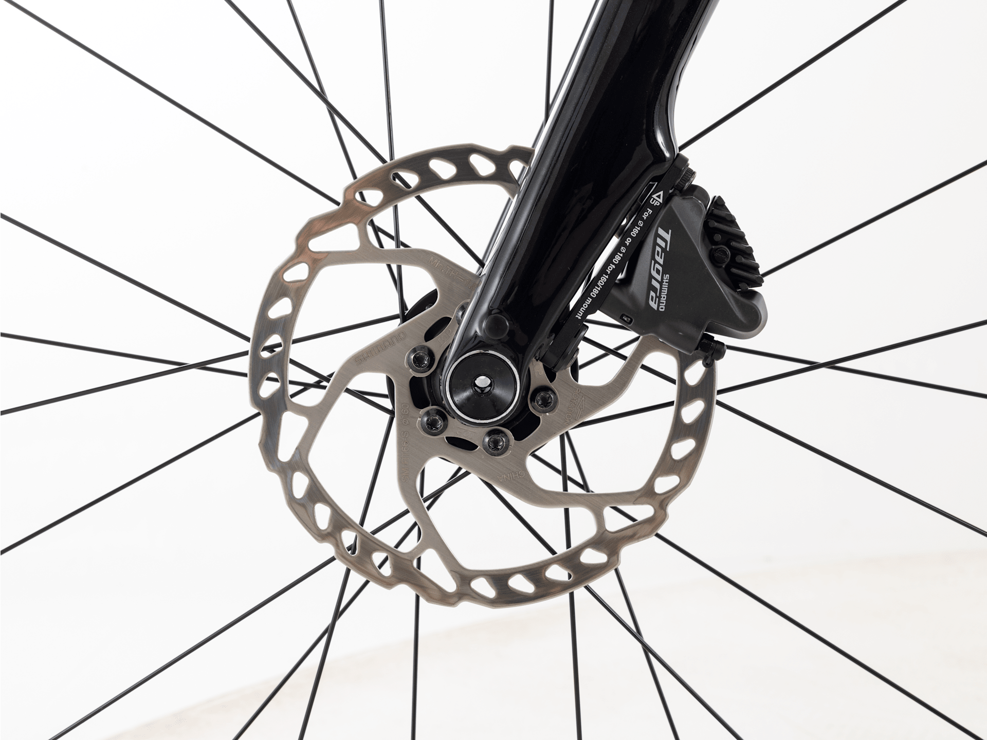 Domane AL 4 Gen 4 - 2026, 52cm