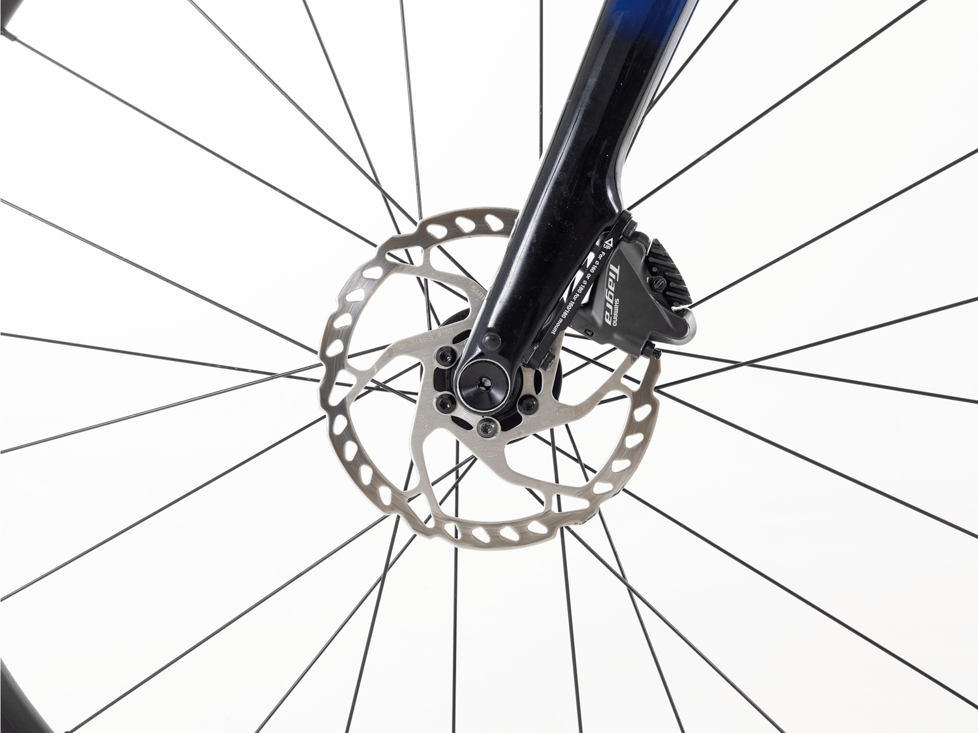 Domane AL 4 Gen 4 - 2026, 56cm