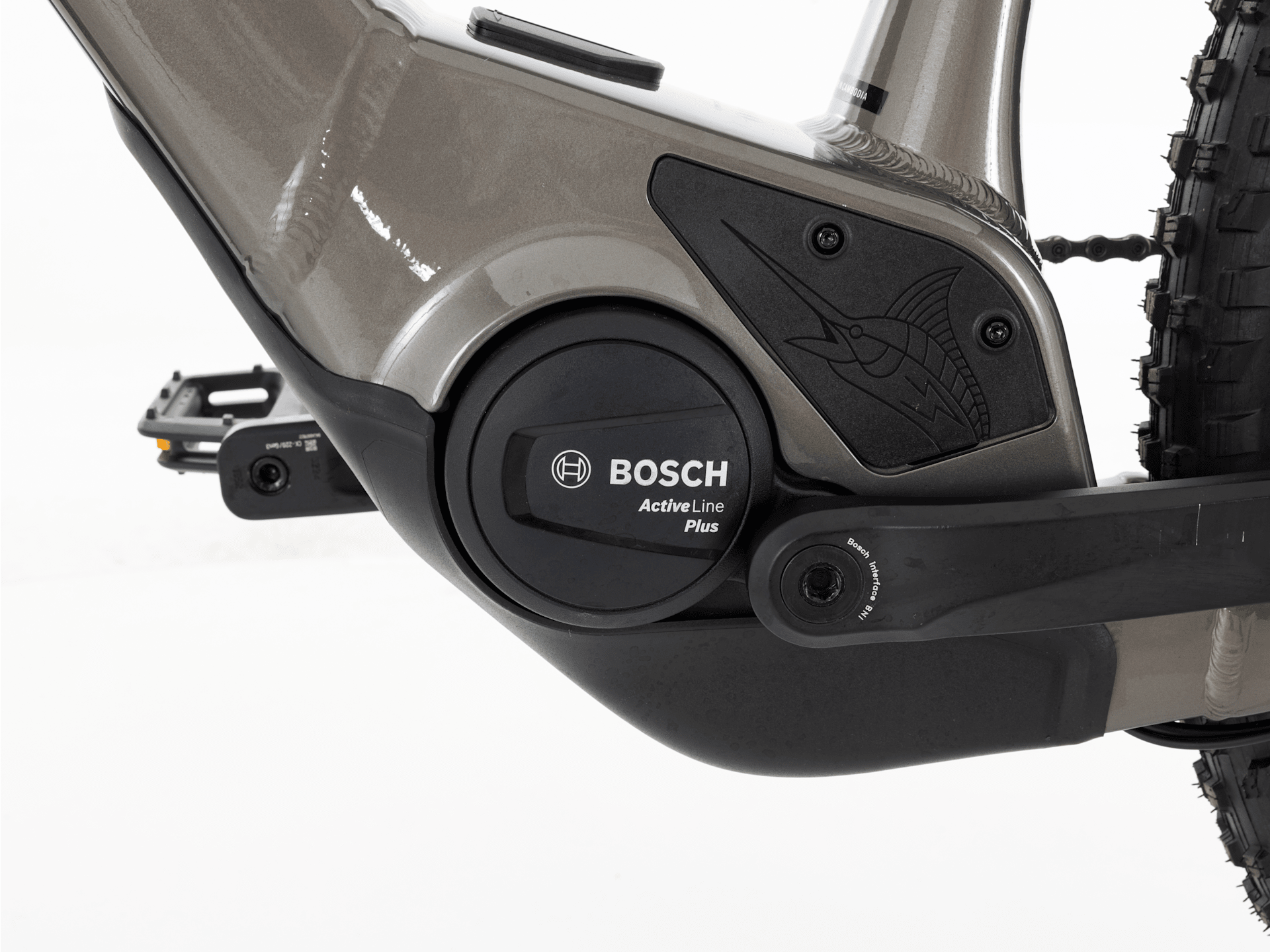 Marlin+ 8 - 2025, X-Large