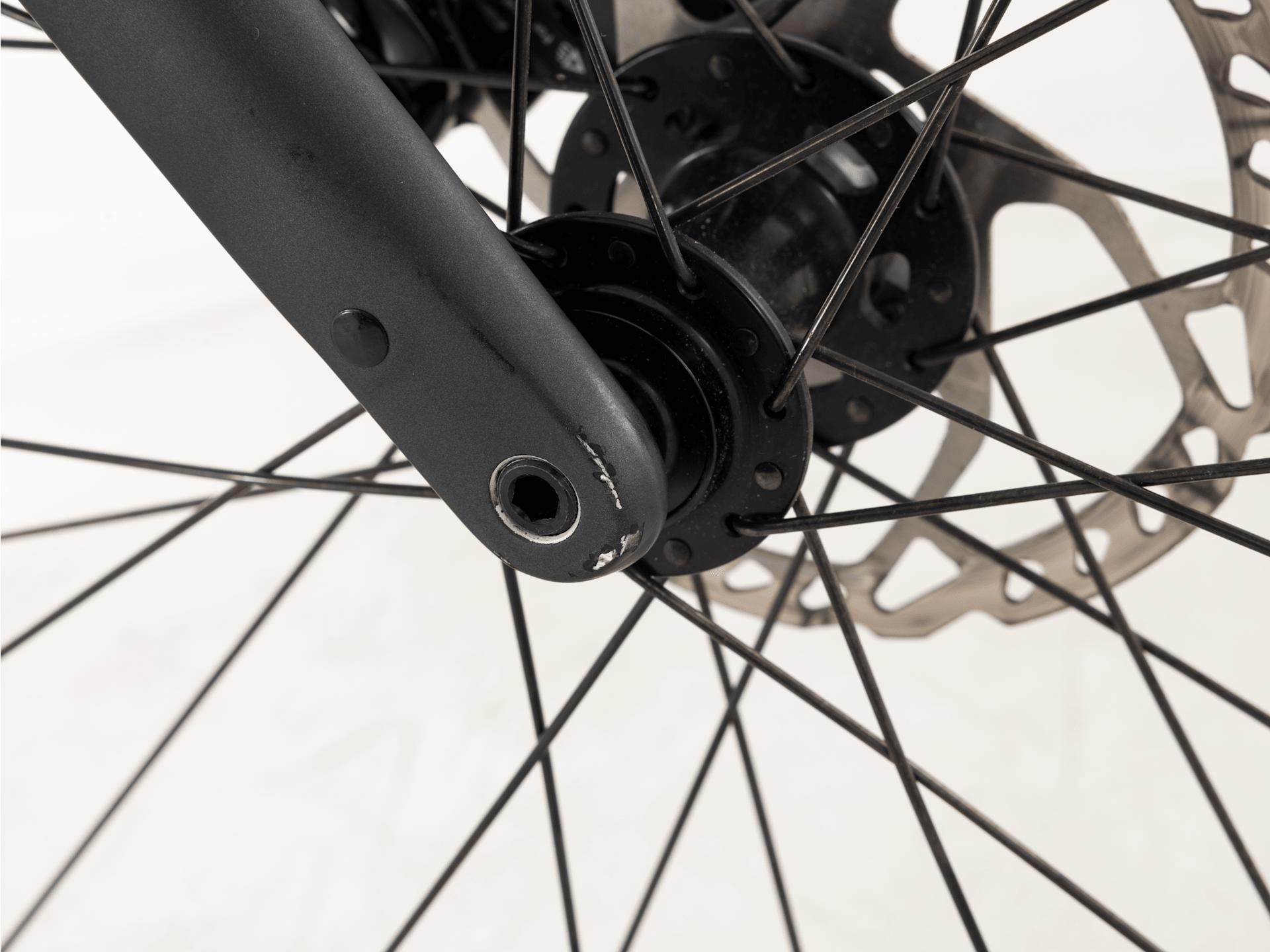 Domane+ AL 5 - 2025, 56cm