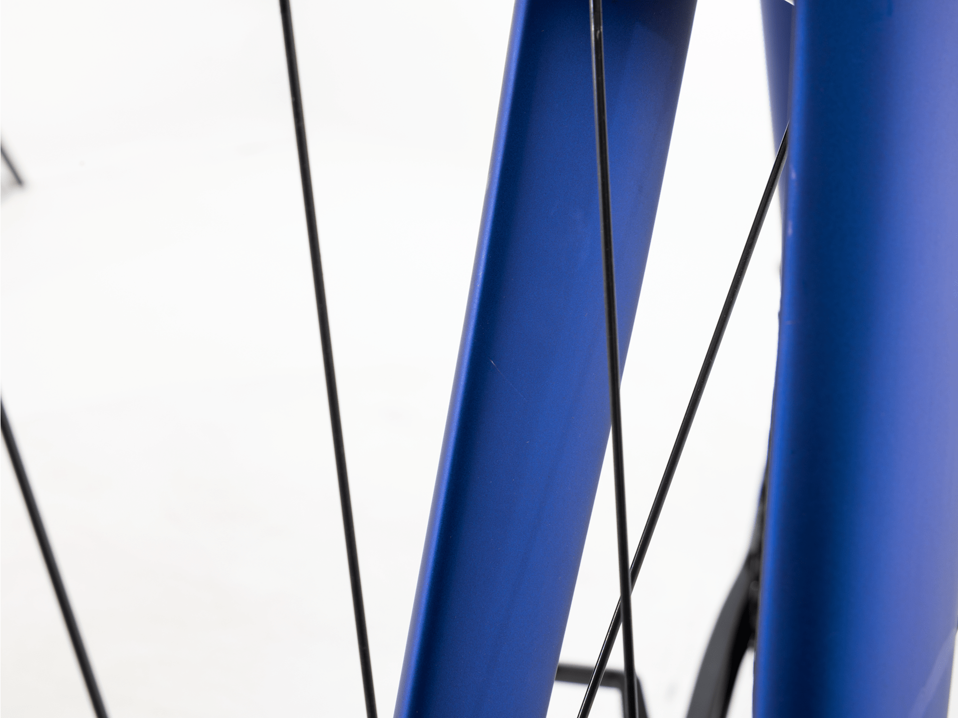 Domane+ AL 5 - 2025, 49cm