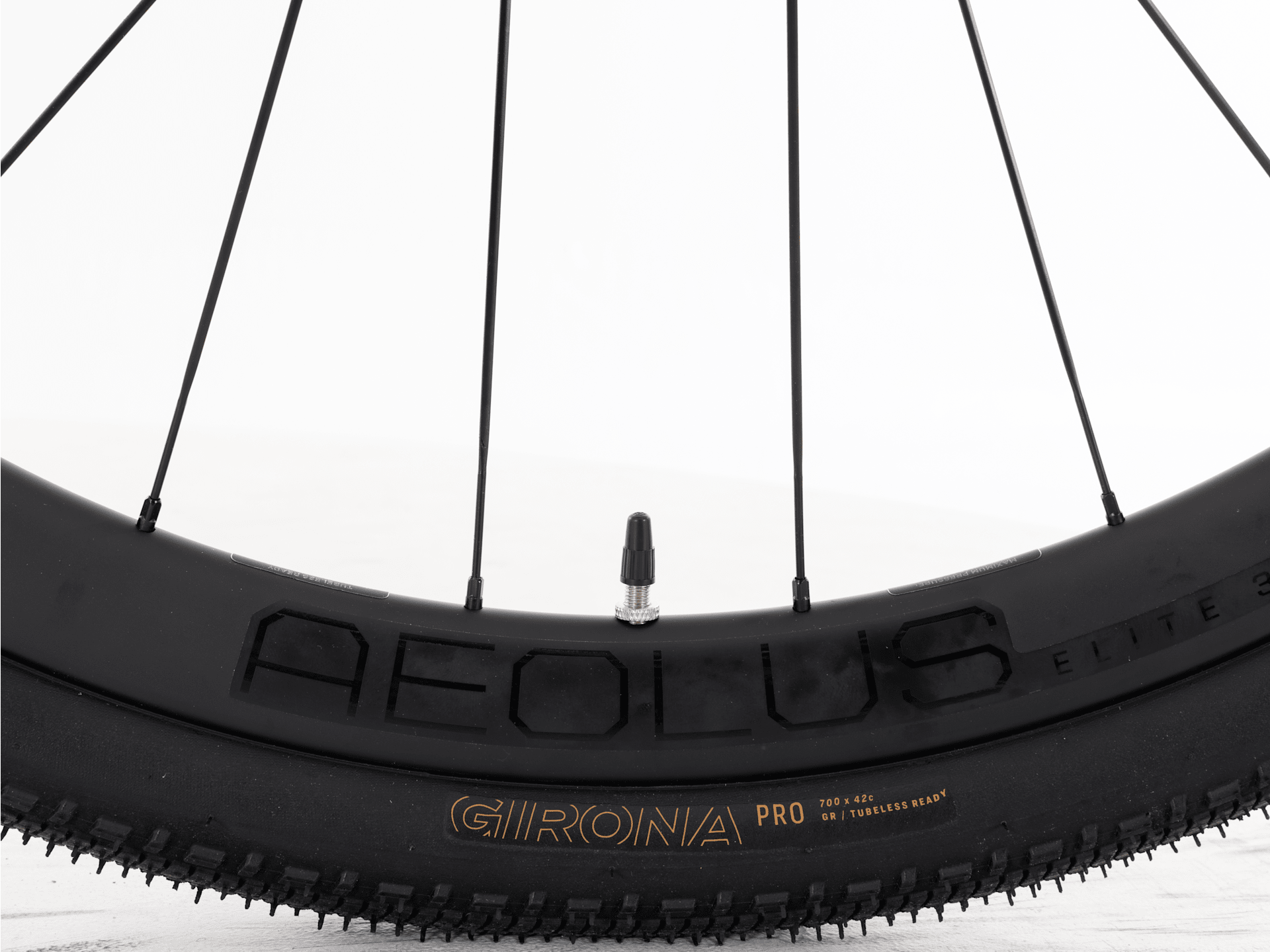 FX Sport SL 6 - 2026, Large